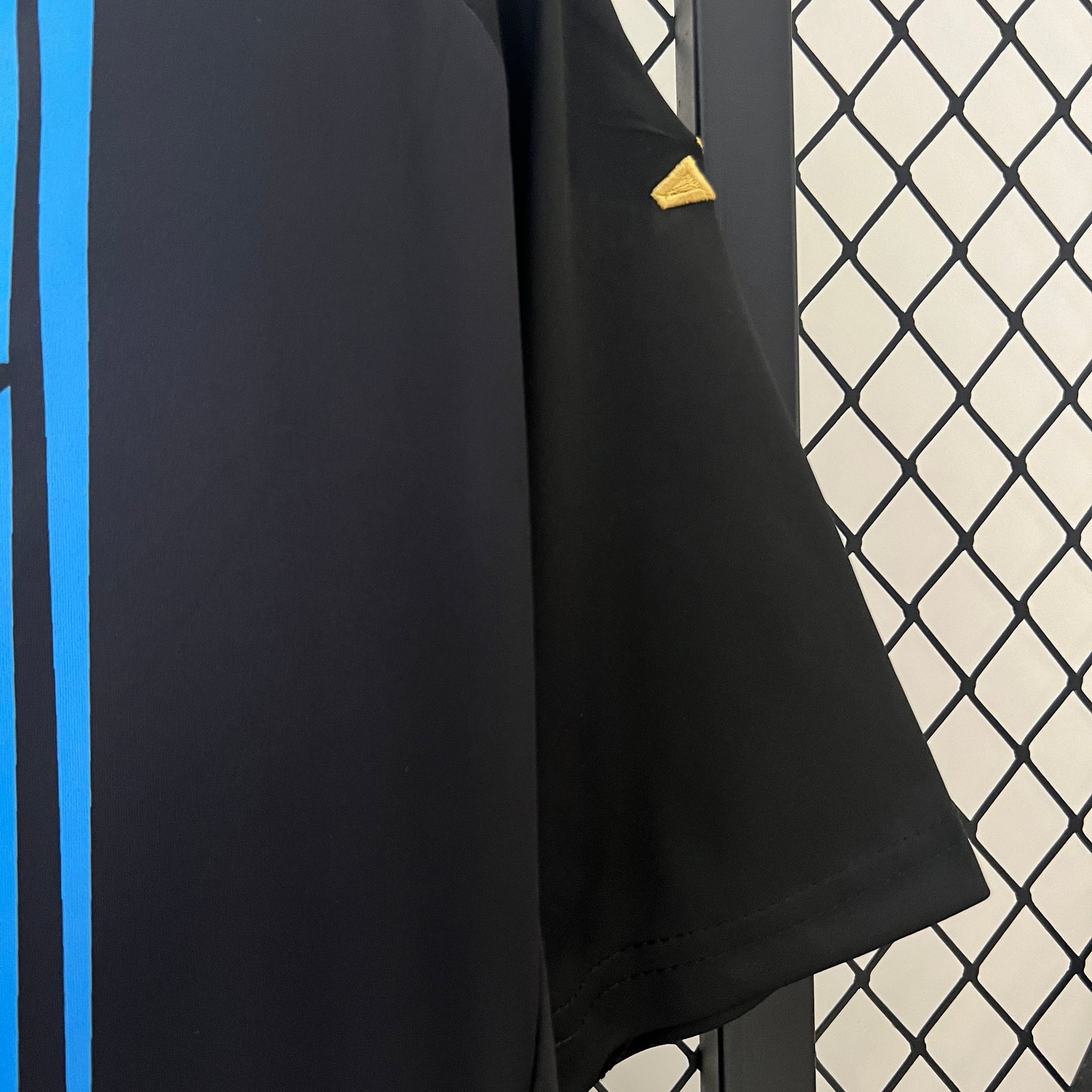 CAMISETA ENTRENAMIENTO ARGENTINA 2024 VERSIÓN FAN - Imagen 4