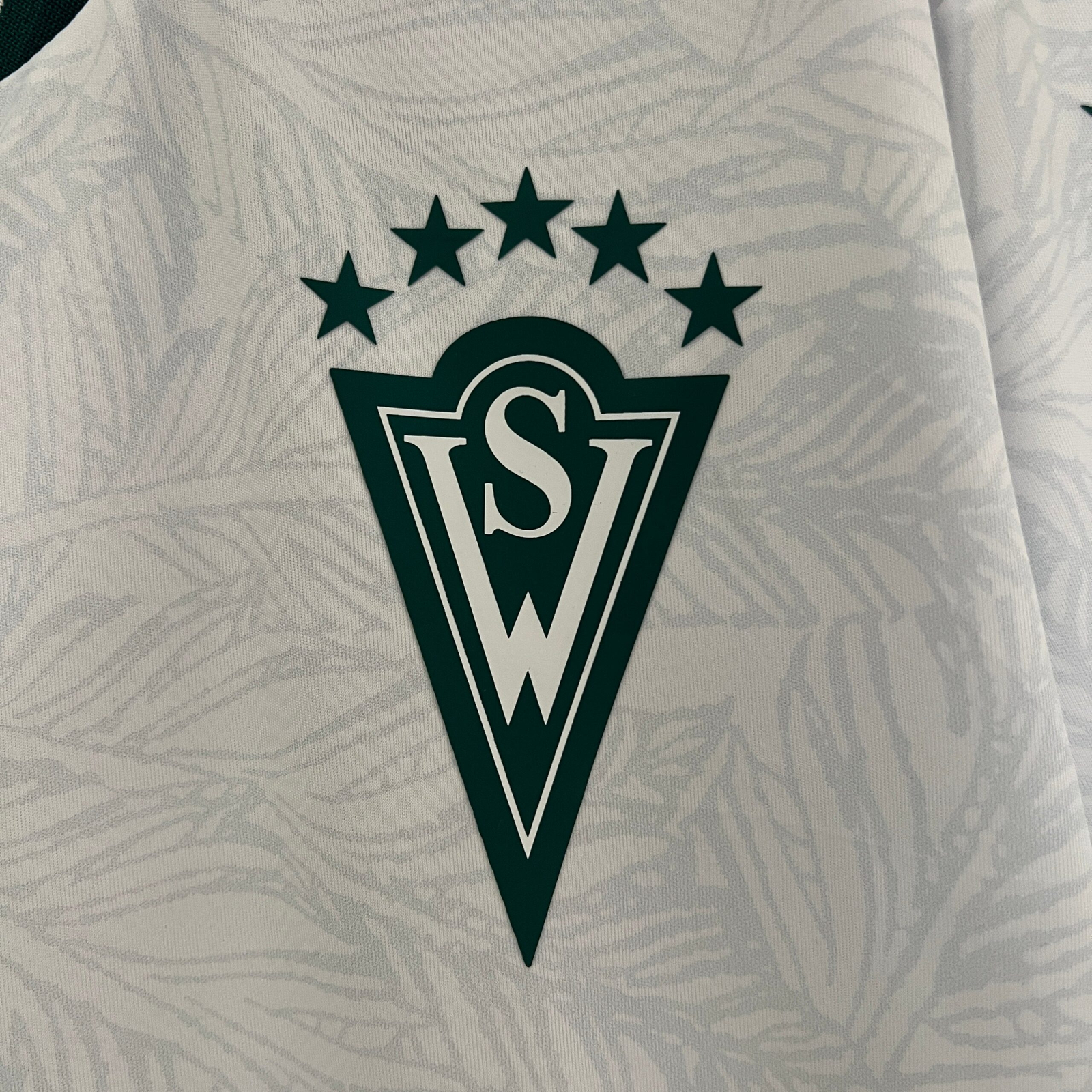 CAMISETA SEGUNDA EQUIPACIÓN SANTIAGO WANDERERS 2024 VERSIÓN FAN - Imagen 5