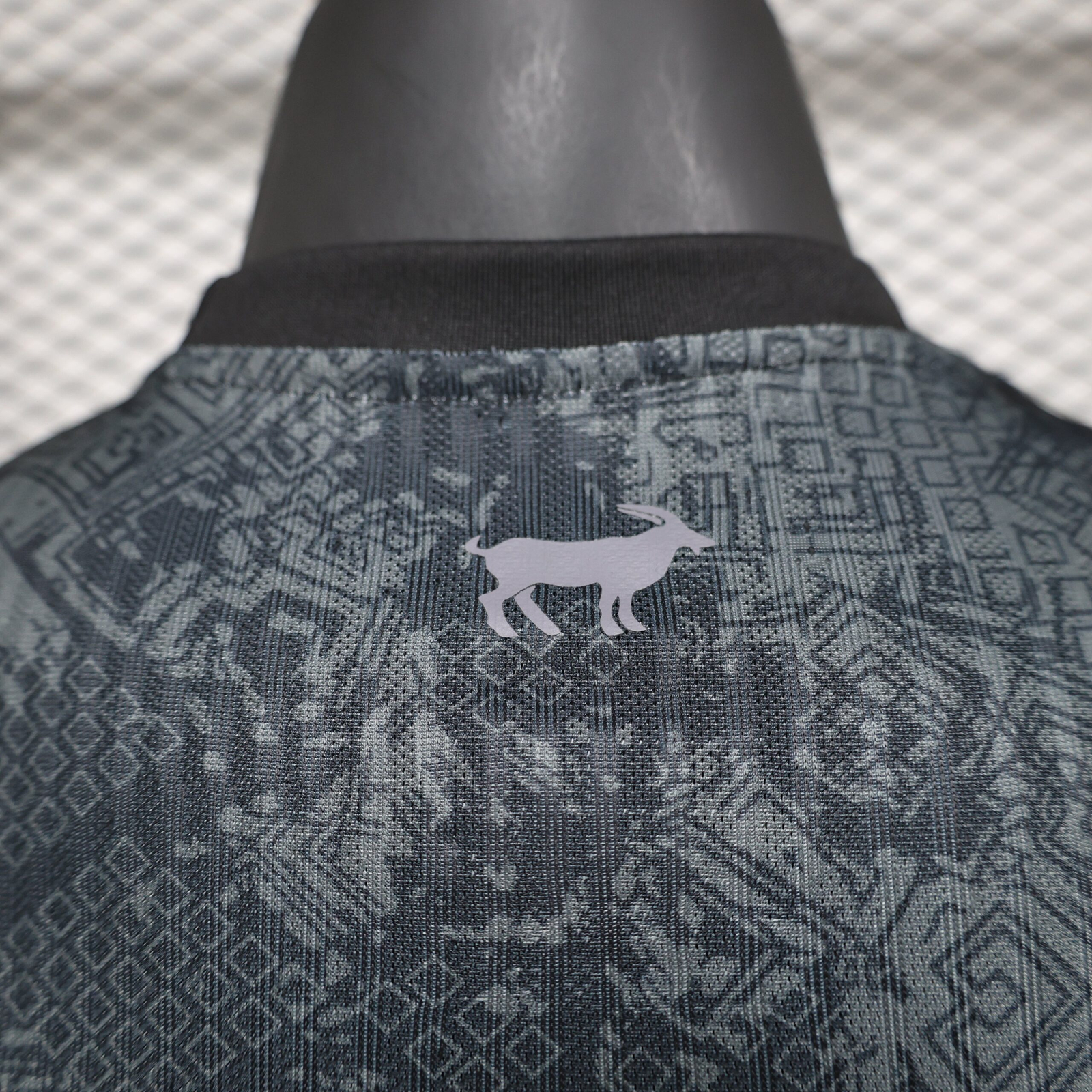CAMISETA CONCEPTO ARGENTINA 2024 VERSIÓN JUGADOR - Imagen 9