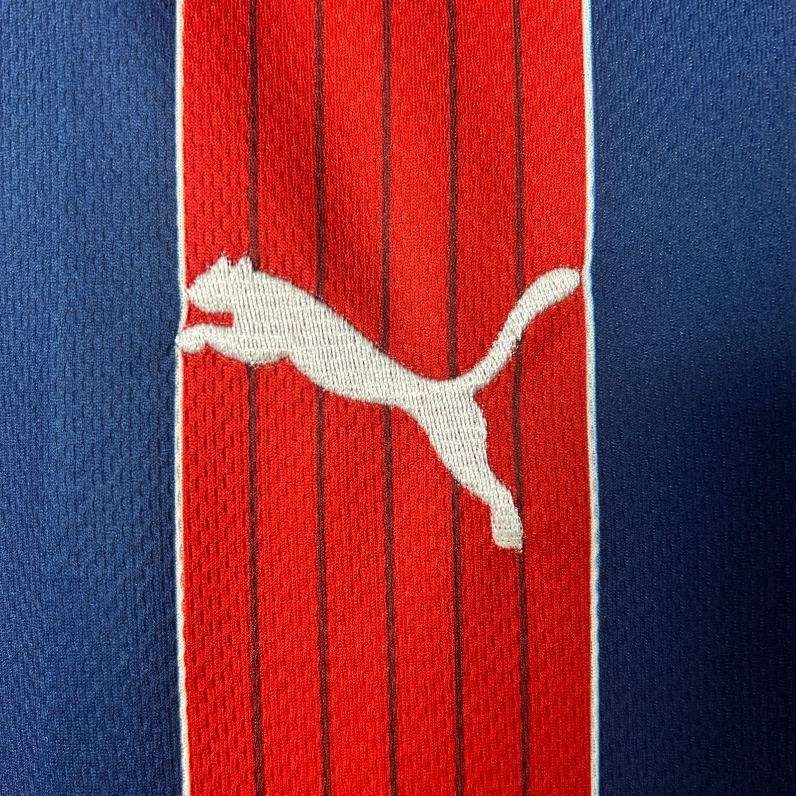 CAMISETA SEGUNDA EQUIPACIÓN BAHIA 2025 VERSIÓN FAN - Imagen 3
