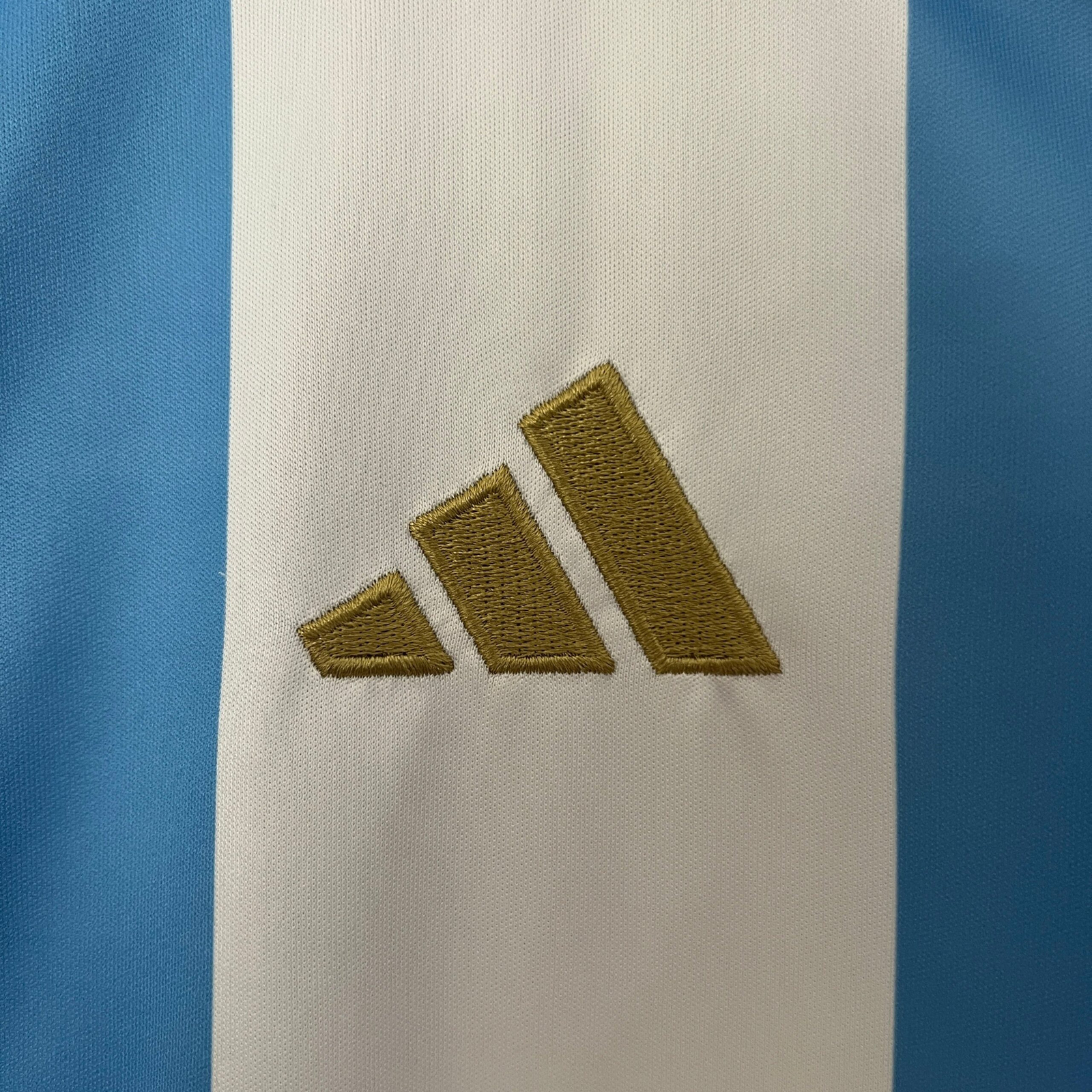 CAMISETA PRIMERA EQUIPACIÓN ARGENTINA 2024 VERSIÓN FEMENINA - Imagen 3