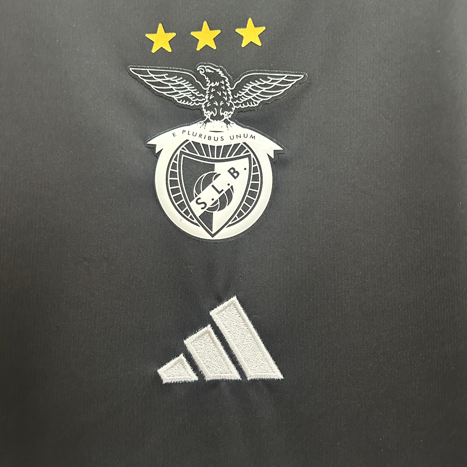 CAMISETA CONCEPTO BENFICA 24/25 VERSIÓN FAN - Imagen 3