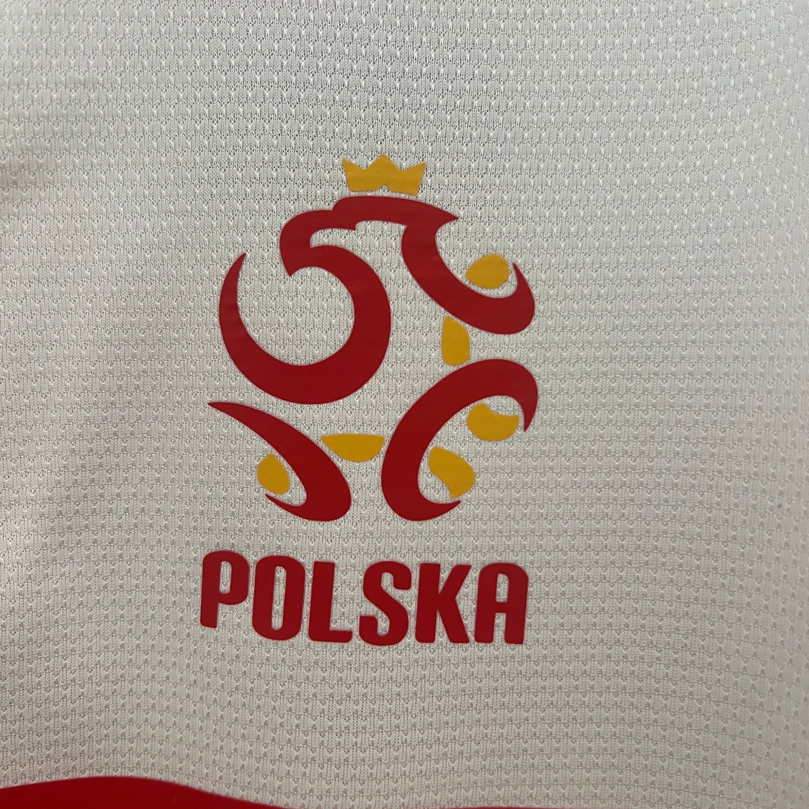 CAMISETA PRIMERA EQUIPACIÓN POLONIA 2012 - Imagen 5