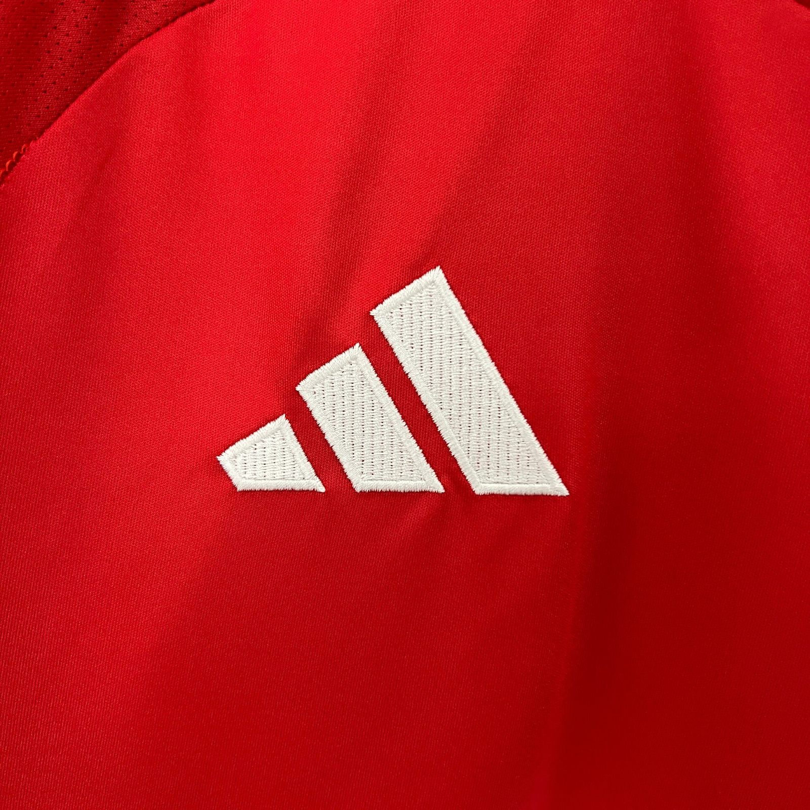 CAMISETA PRIMERA EQUIPACIÓN MANCHESTER UNITED 24/25 VERSIÓN FAN - Imagen 3