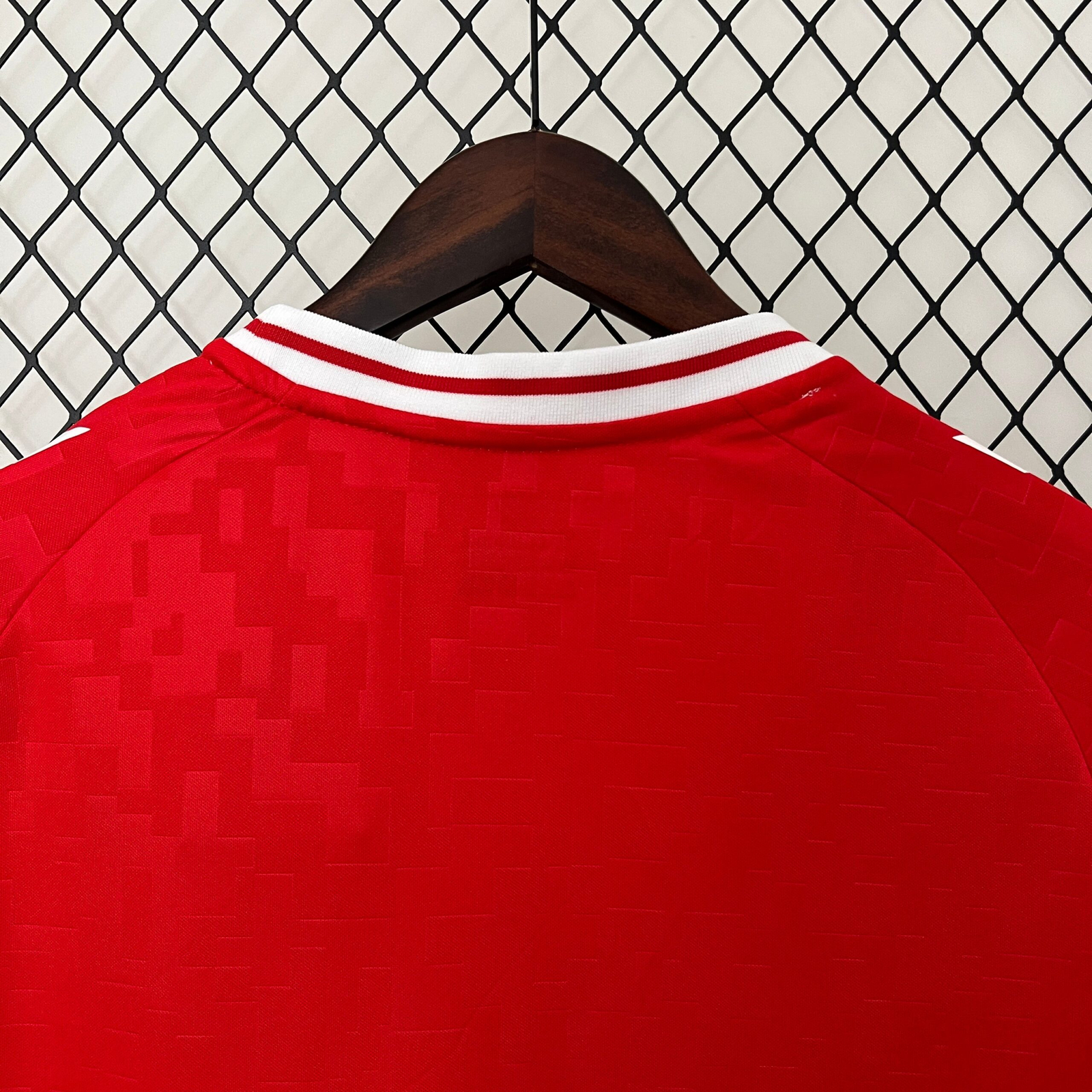 CAMISETA PRIMERA EQUIPACIÓN DINAMARCA 2024 VERSIÓN FAN - Imagen 6