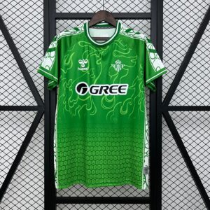 CAMISETA ENTRENAMIENTO REAL BETIS 24/25 VERSIÓN FAN