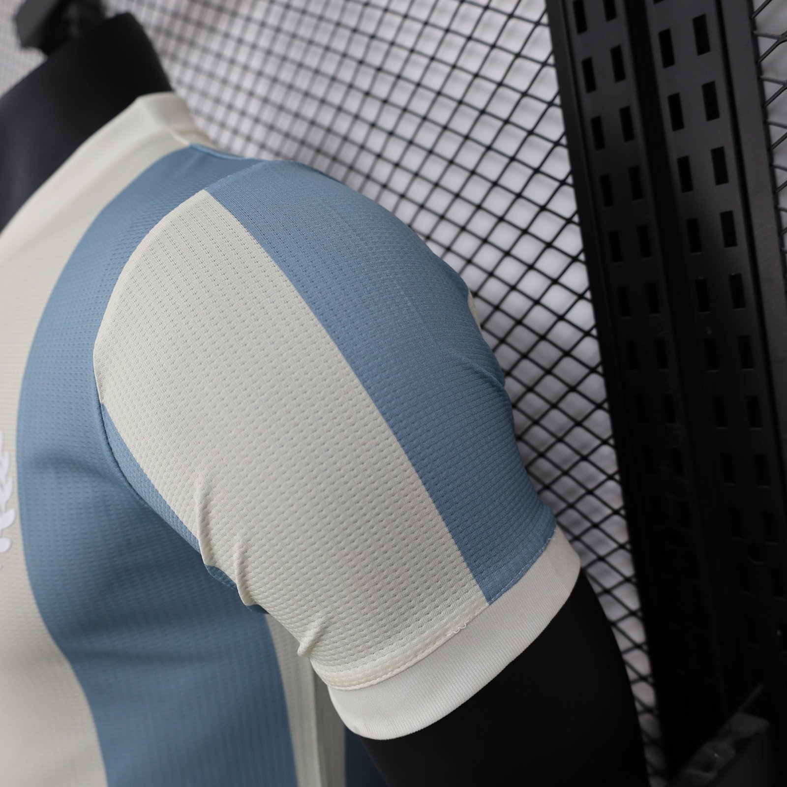 CAMISETA EDICIÓN ESPECIAL ARGENTINA 2024 VERSIÓN JUGADOR - Imagen 6