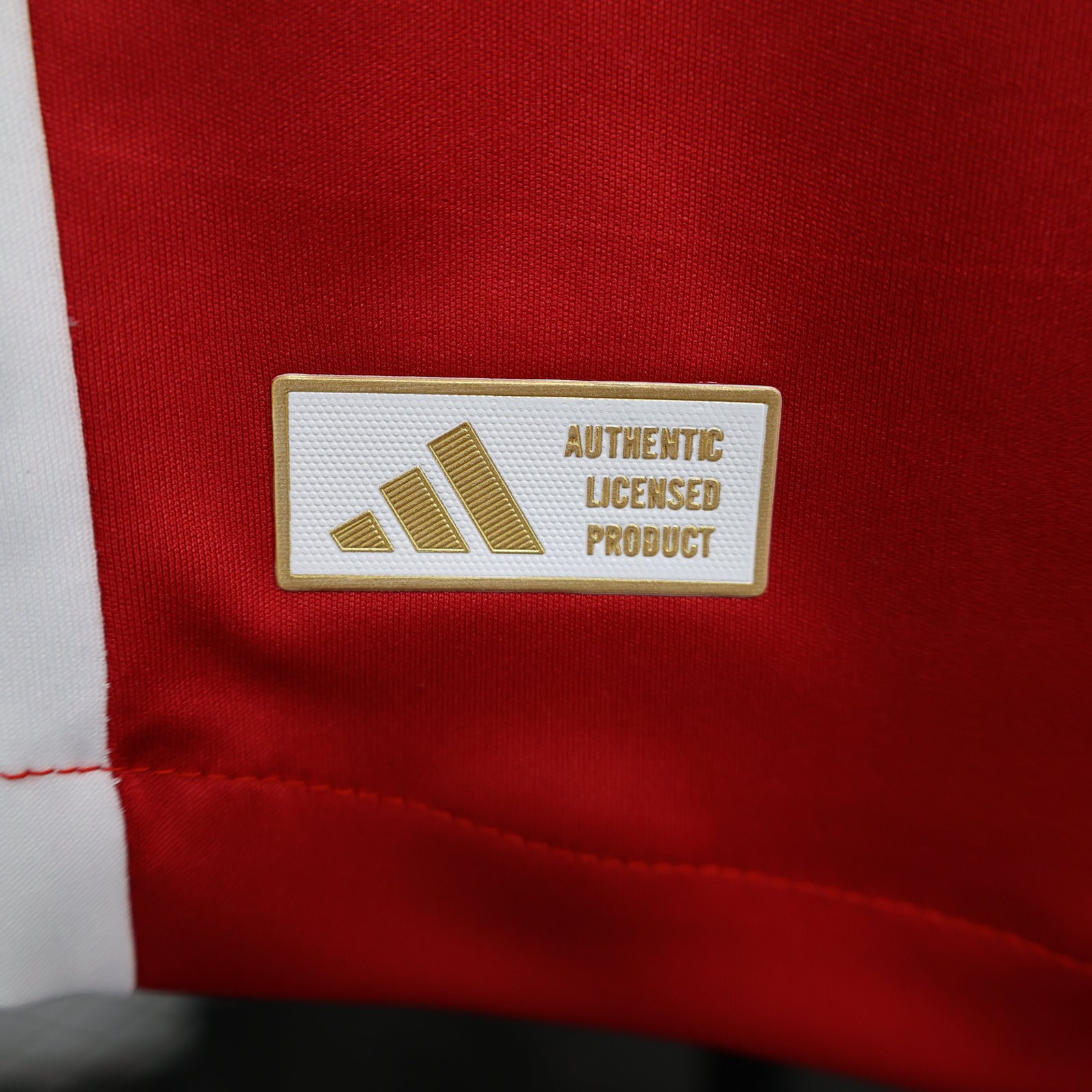 CAMISETA PRIMERA EQUIPACIÓN AJAX 24/25 VERSIÓN JUGADOR - Imagen 8