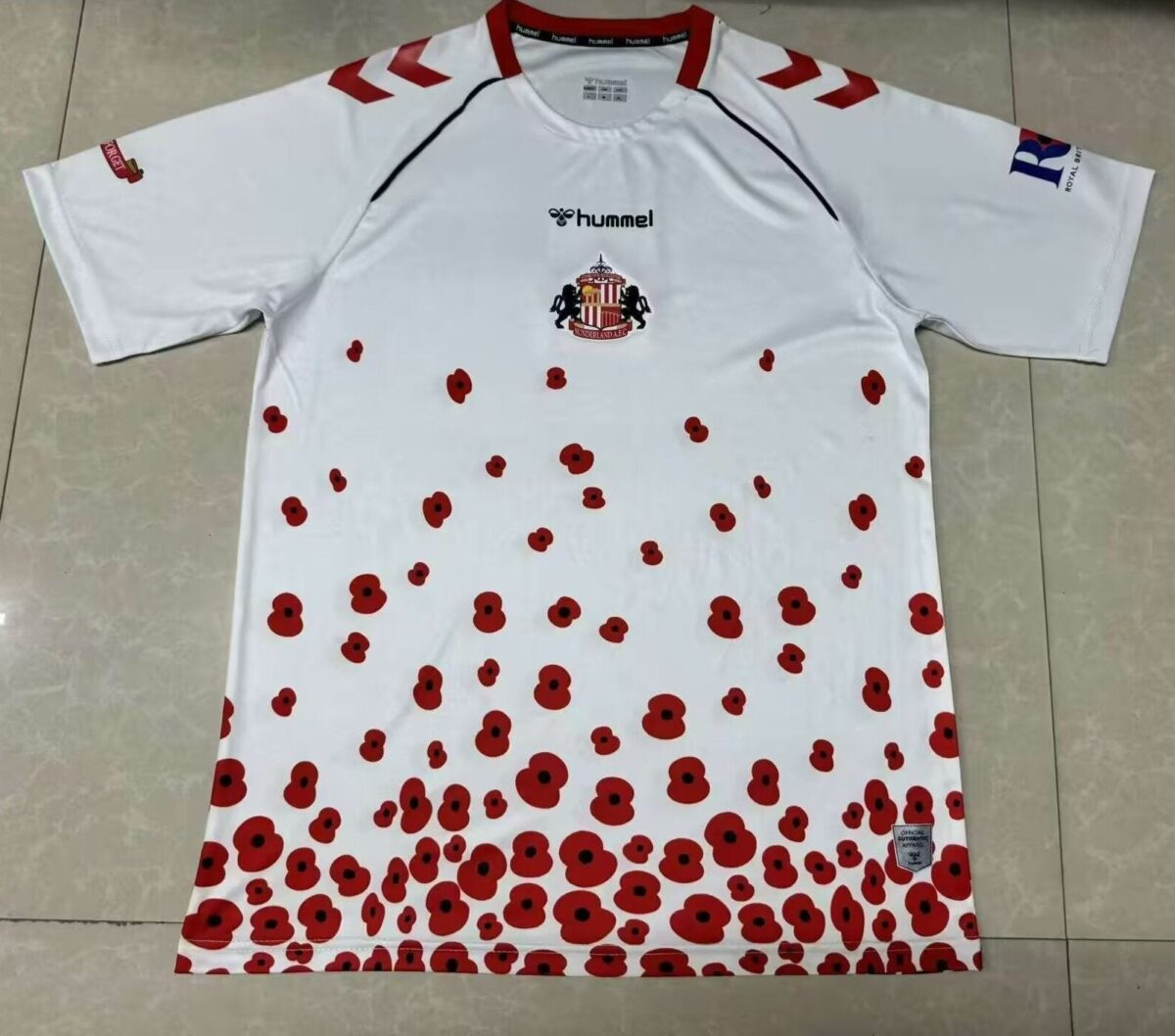 CAMISETA ENTRENAMIENTO SUNDERLAND 24/25 VERSIÓN FAN