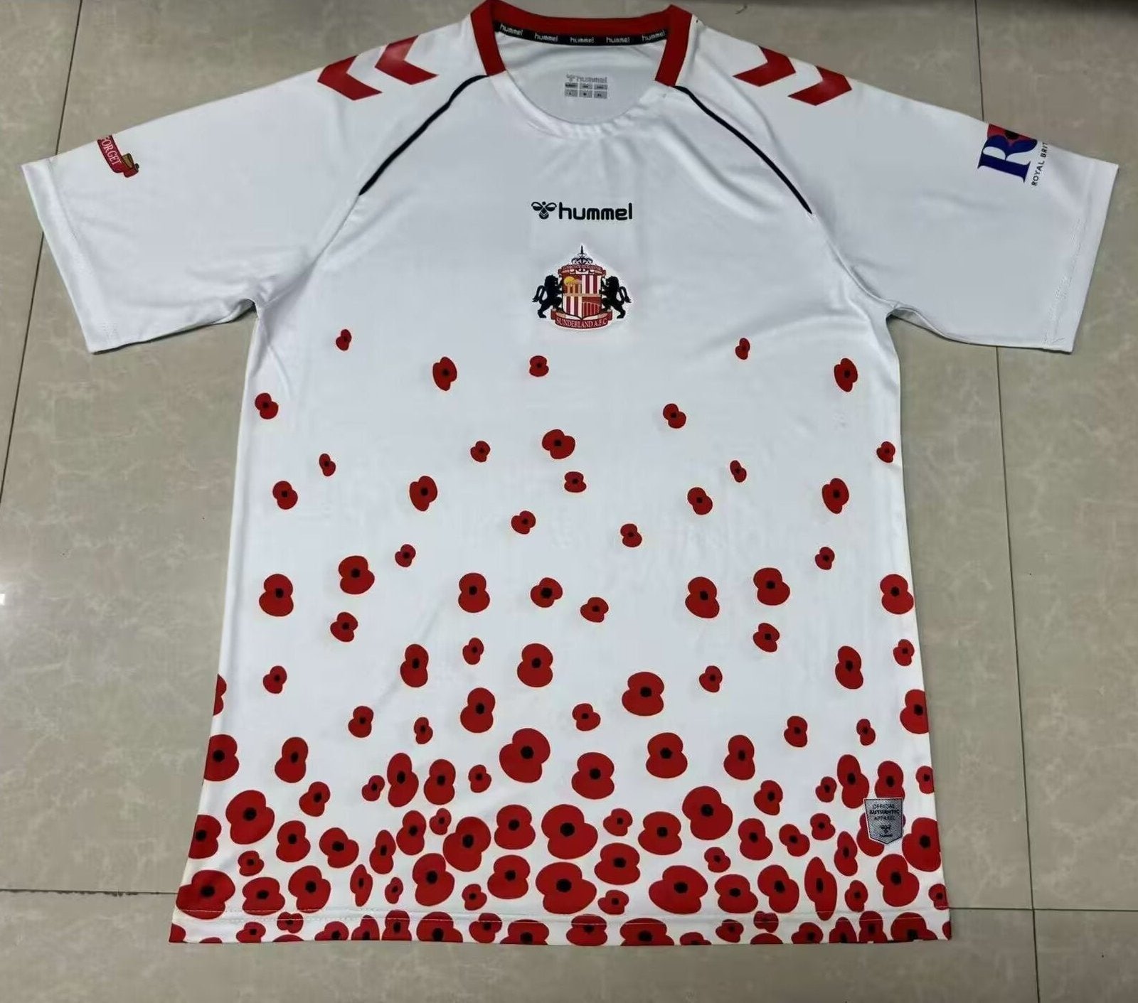 CAMISETA ENTRENAMIENTO SUNDERLAND 24/25 VERSIÓN FAN