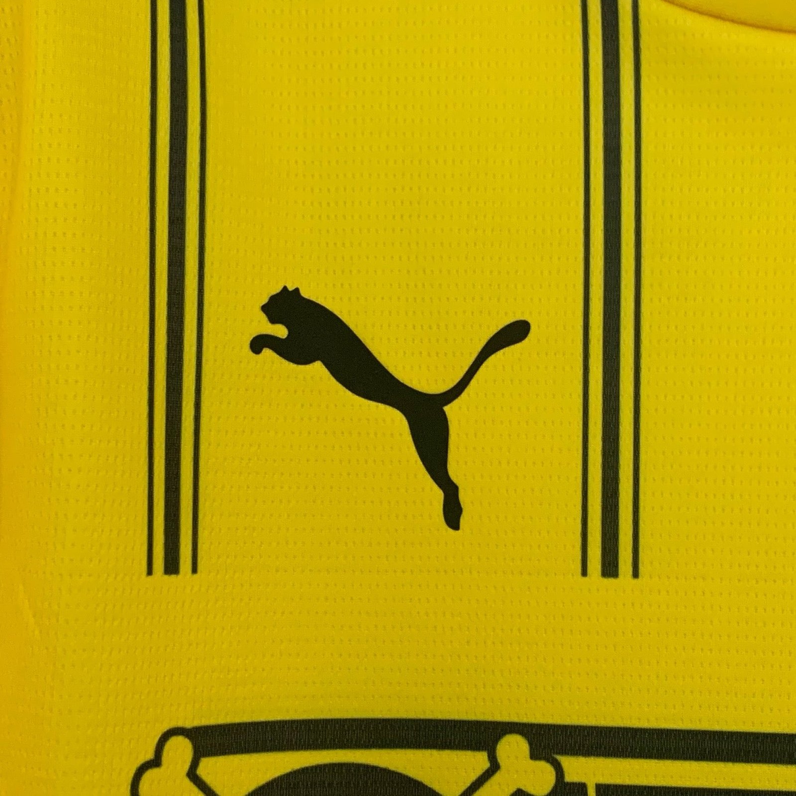 CAMISETA EDICIÓN ESPECIAL BORUSSIA DORTMUND x ONE PIECE 24/25 VERSIÓN FAN - Imagen 3