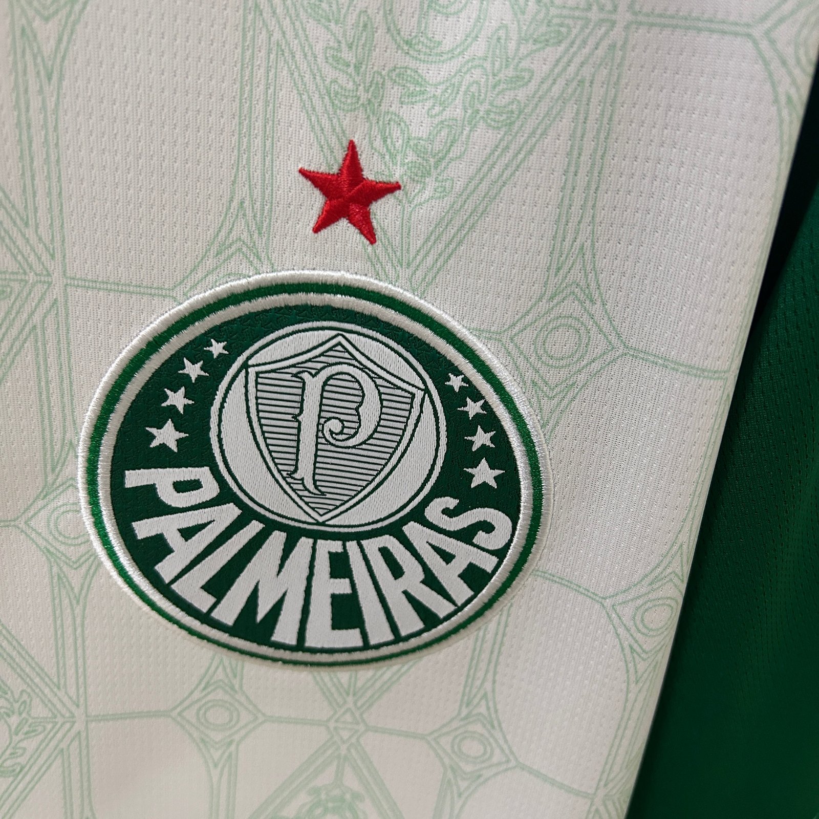 CAMISETA SEGUNDA EQUIPACIÓN PALMEIRAS 2025 VERSIÓN FAN - Imagen 4