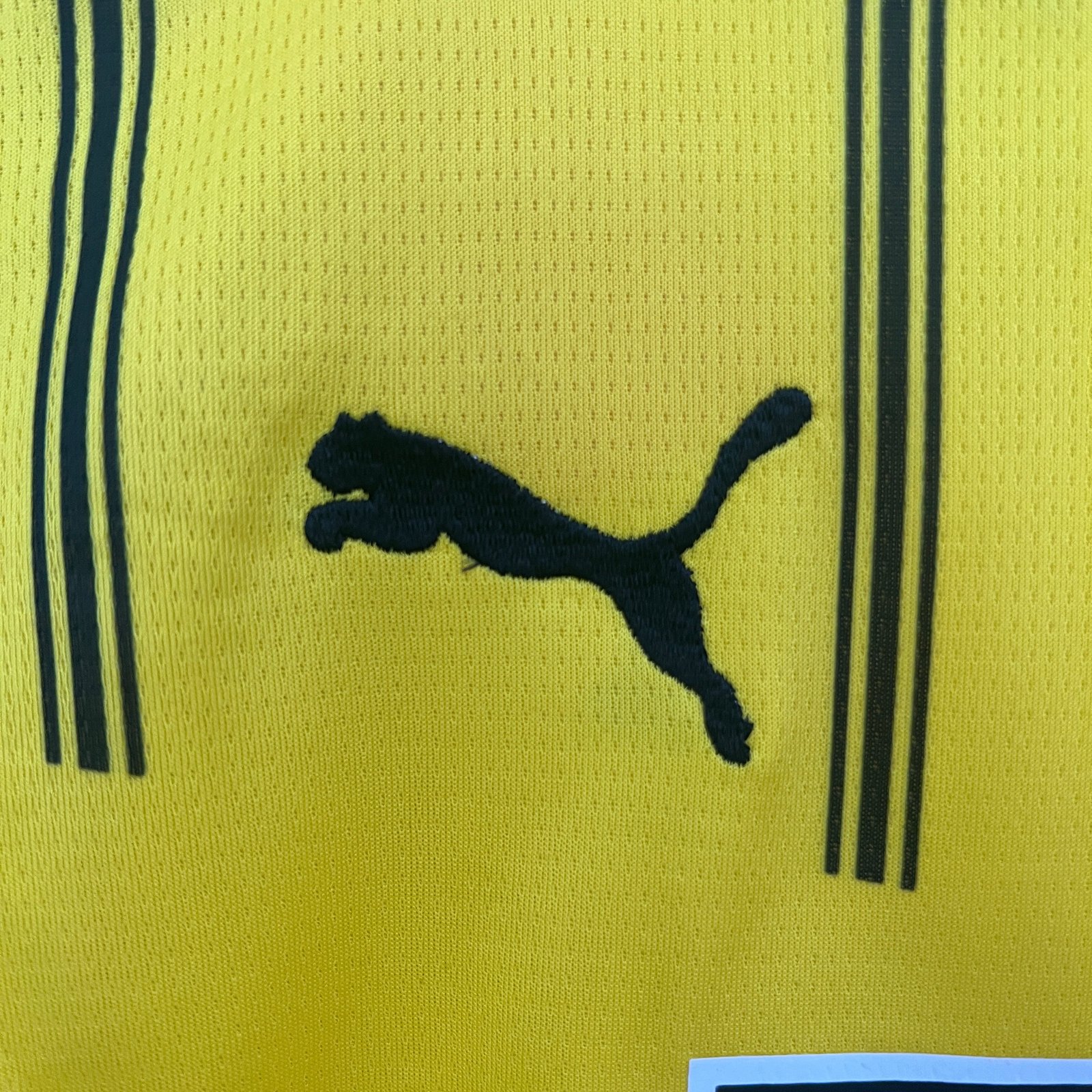 CAMISETA PRIMERA EQUIPACIÓN BORUSSIA DORTMUND 24/25 VERSIÓN INFANTIL - Imagen 5