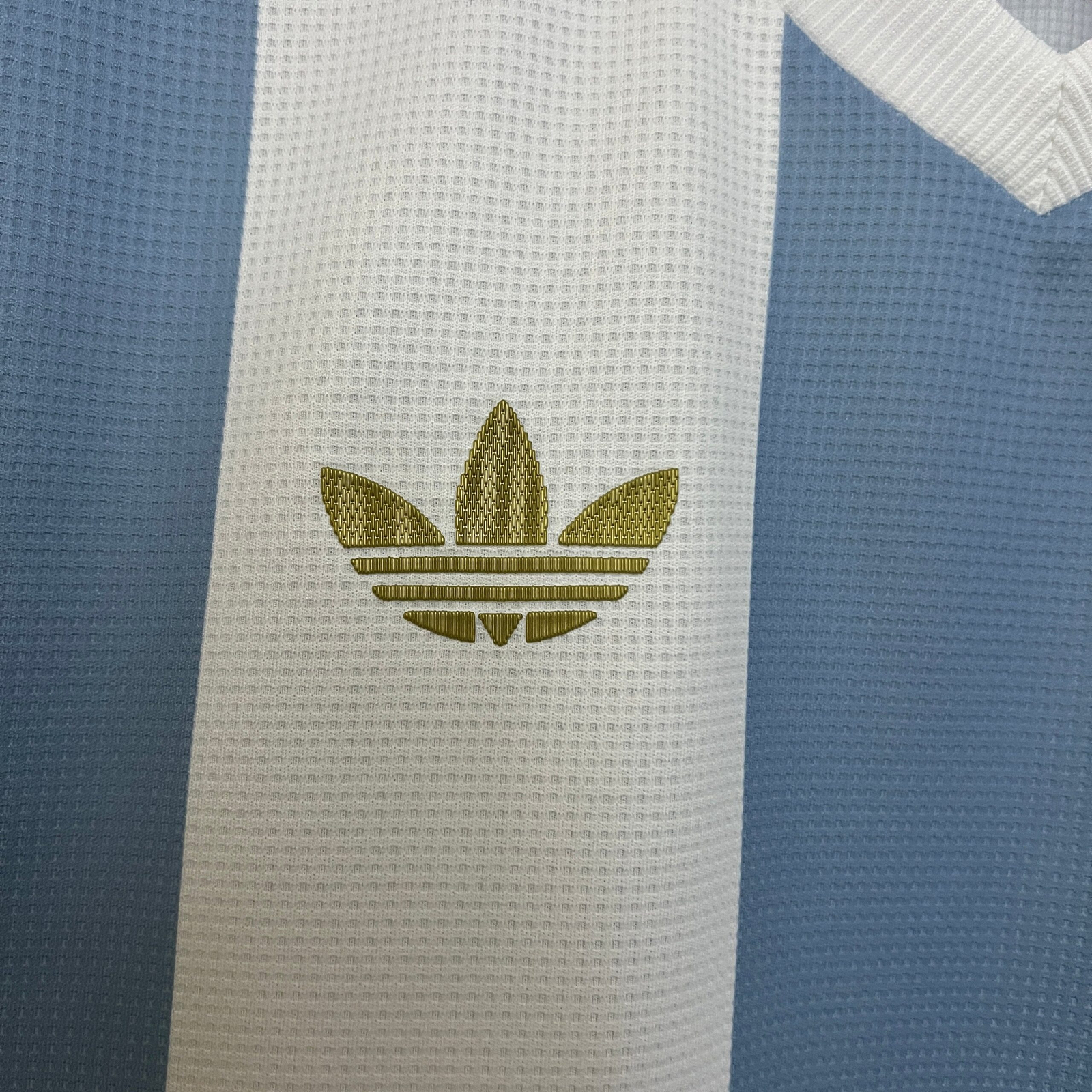 CAMISETA EDICIÓN ESPECIAL ARGENTINA 2024 VERSIÓN FAN - Imagen 4