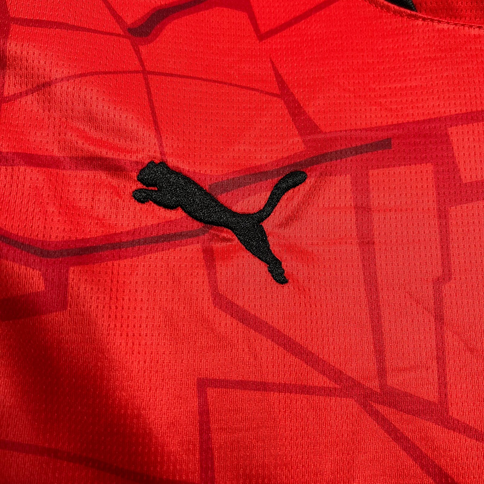 CAMISETA PRIMERA EQUIPACIÓN STADE RENNAIS 24/25 VERSIÓN FAN - Imagen 3