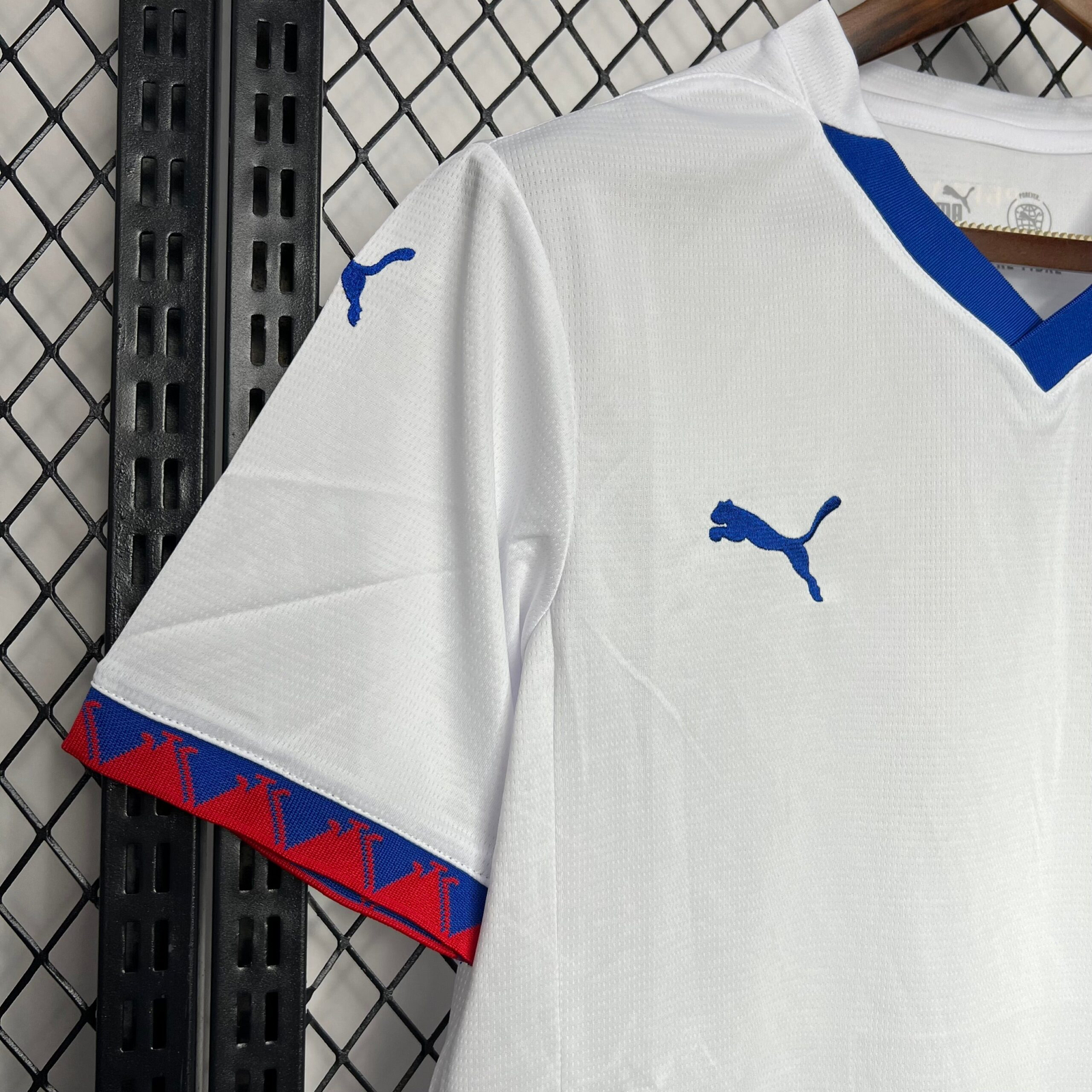 CAMISETA SEGUNDA EQUIPACIÓN SERBIA 2024 VERSIÓN FAN - Imagen 2