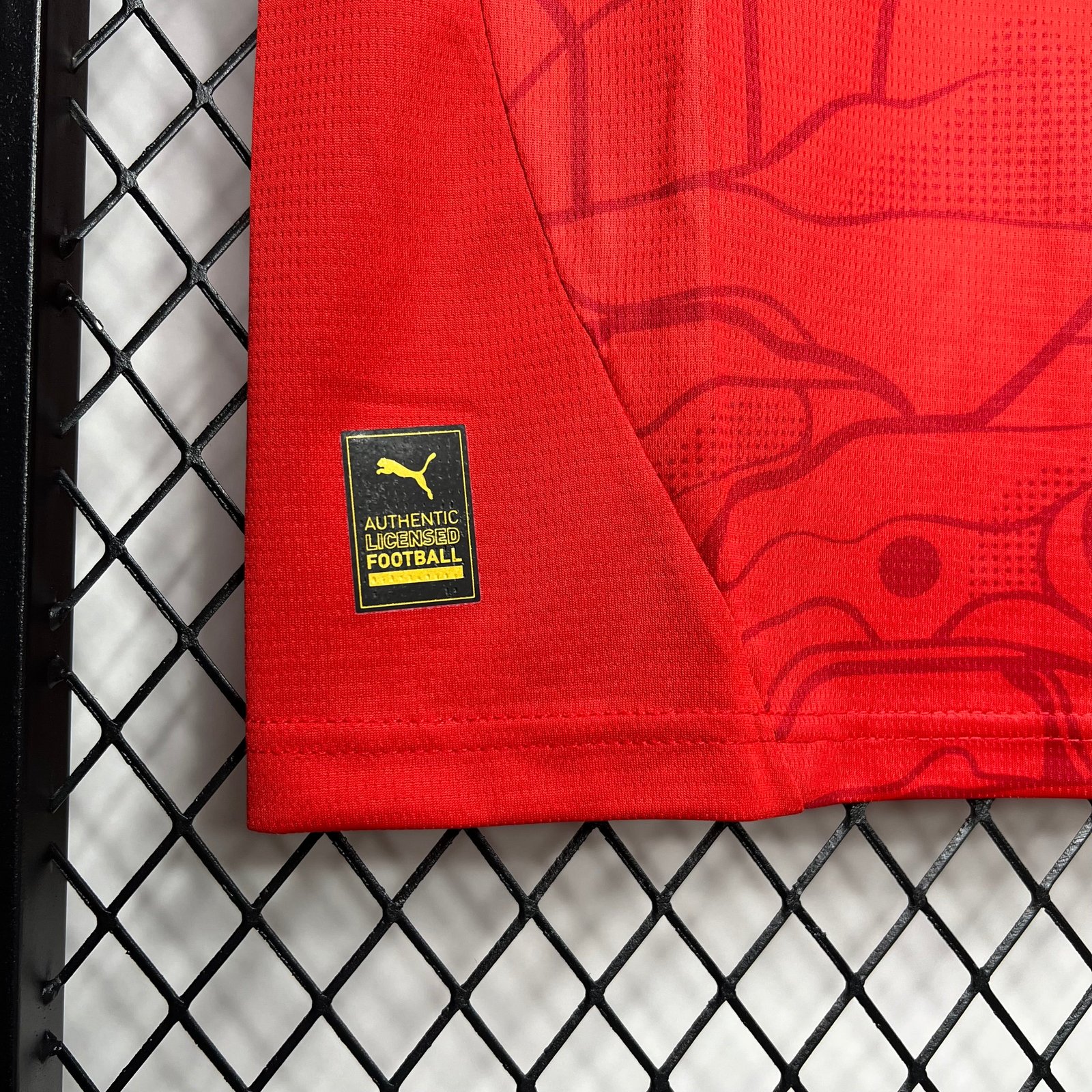 CAMISETA PRIMERA EQUIPACIÓN AUSTRIA 2024 VERSIÓN FAN - Imagen 4