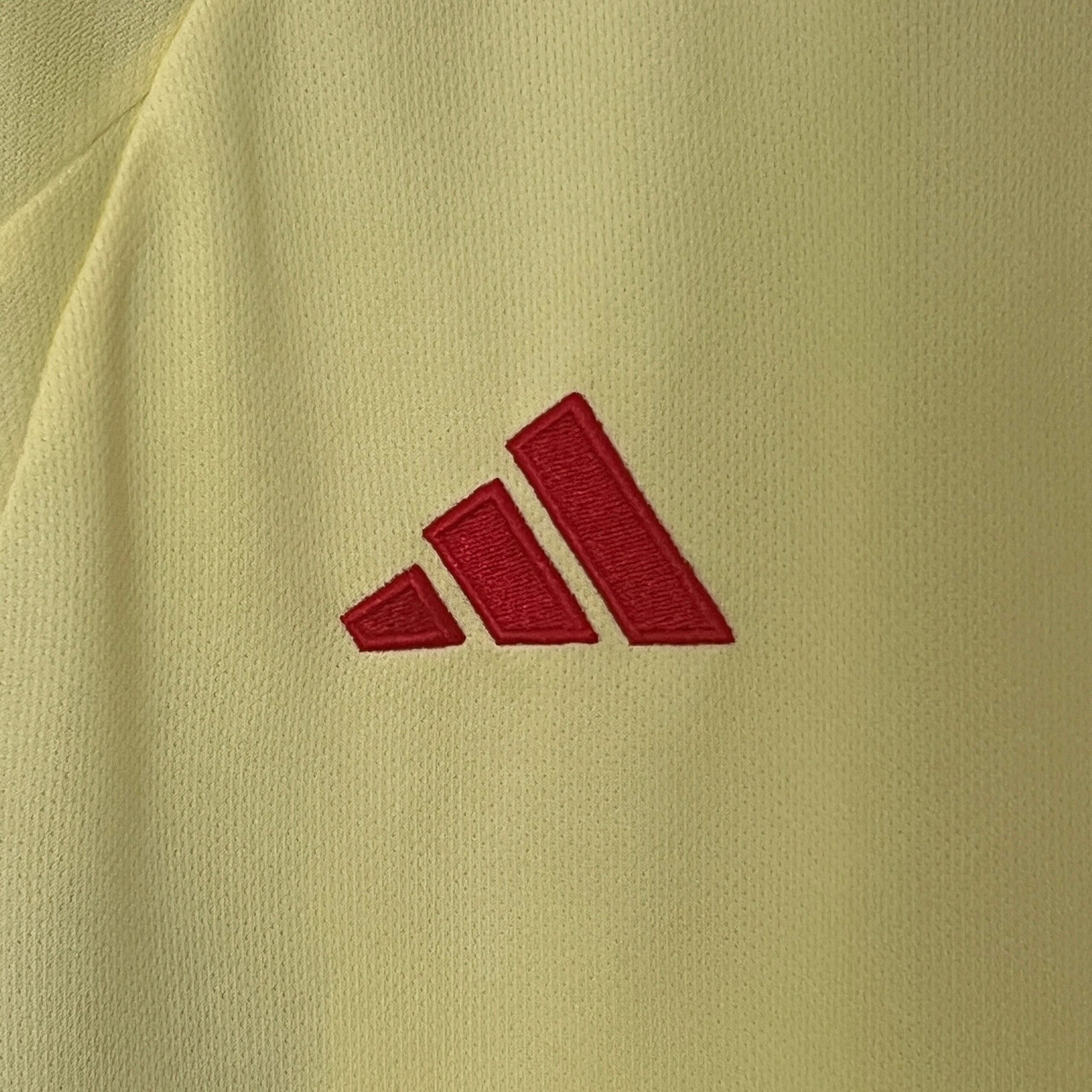 CAMISETA SEGUNDA EQUIPACIÓN GALES 2024 VERSIÓN FAN - Imagen 3