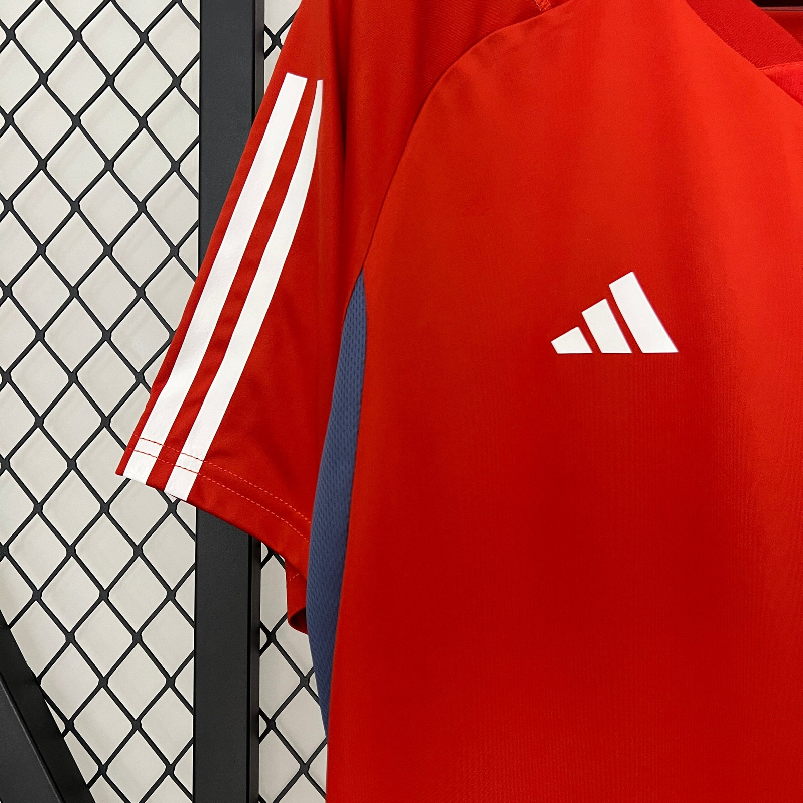 CAMISETA ENTRENAMIENTO CRUZEIRO 2024 VERSIÓN FAN - Imagen 3