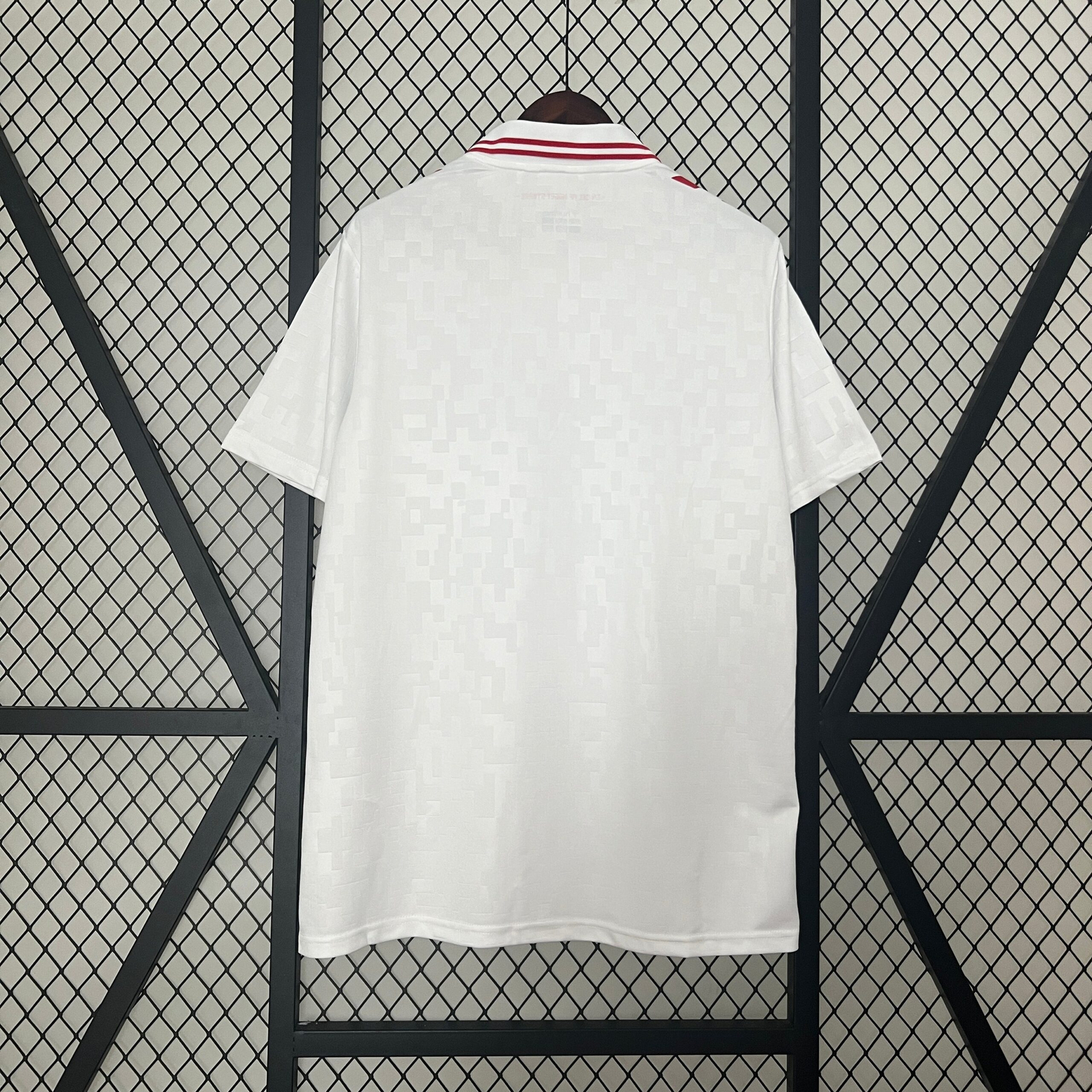 CAMISETA SEGUNDA EQUIPACIÓN DINAMARCA 2024 VERSIÓN FAN - Imagen 9