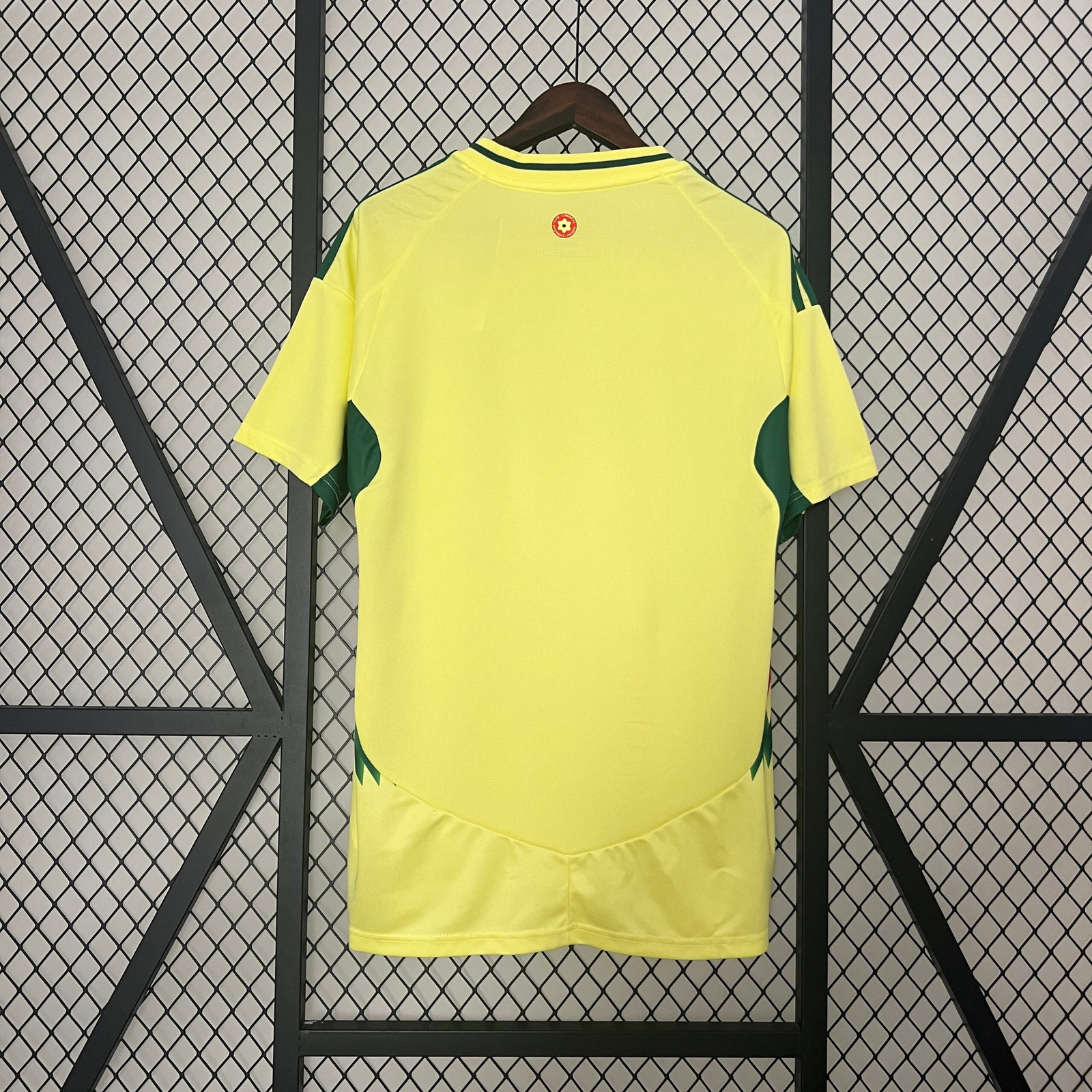CAMISETA SEGUNDA EQUIPACIÓN GALES 2024 VERSIÓN FAN - Imagen 6
