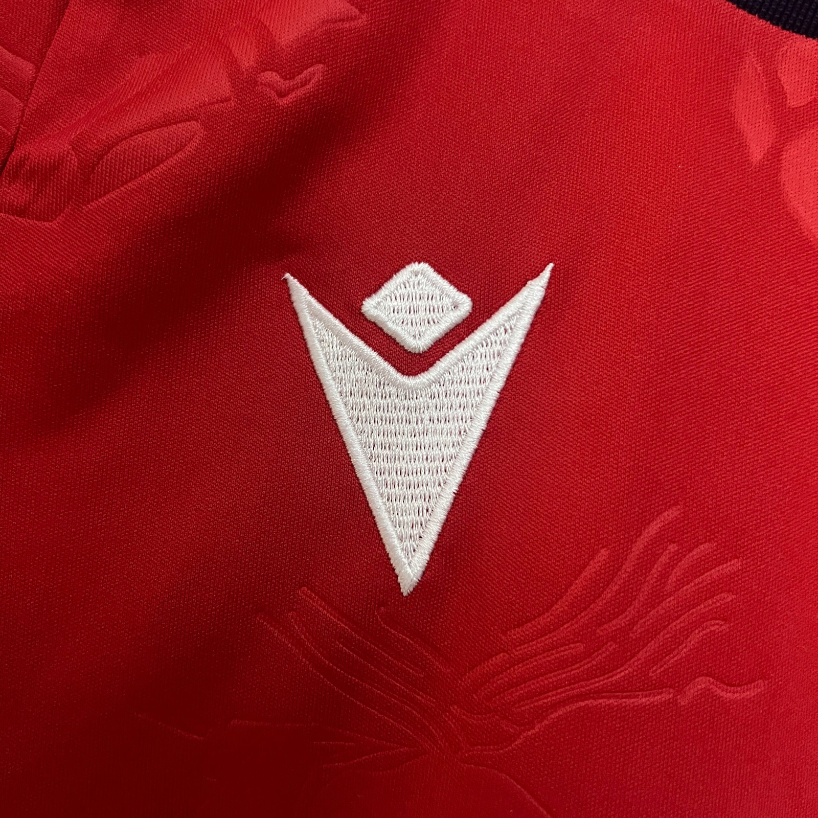 CAMISETA PRIMERA EQUIPACIÓN OSASUNA 24/25 VERSIÓN INFANTIL - Imagen 3