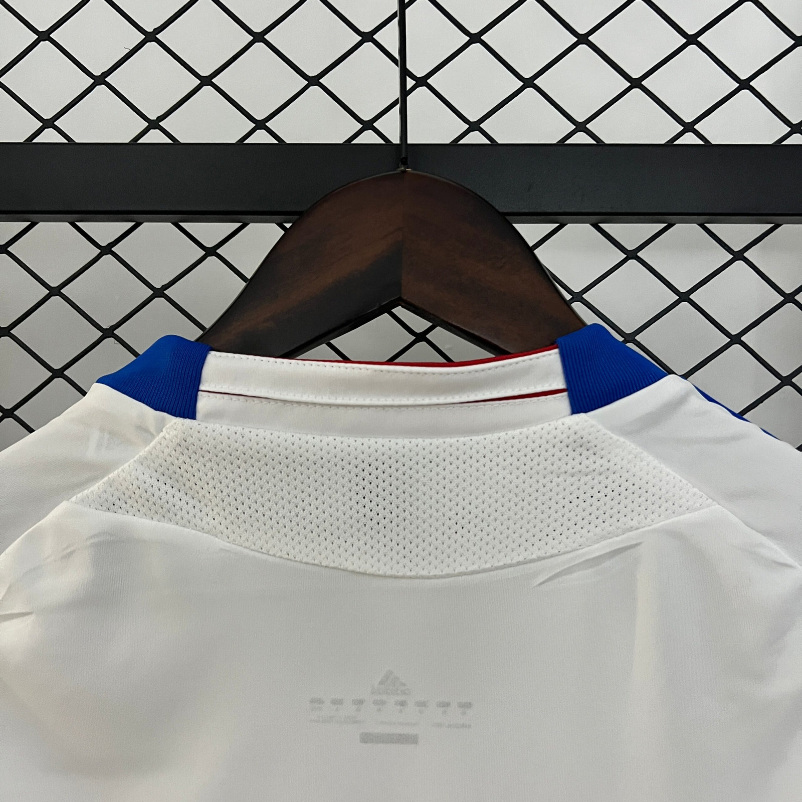 CAMISETA PRIMERA EQUIPACIÓN LYON 2010/11 - Imagen 10