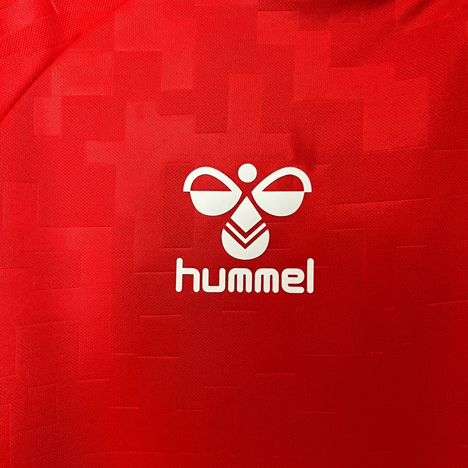 CAMISETA PRIMERA EQUIPACIÓN DINAMARCA 2024 VERSIÓN FAN - Imagen 3