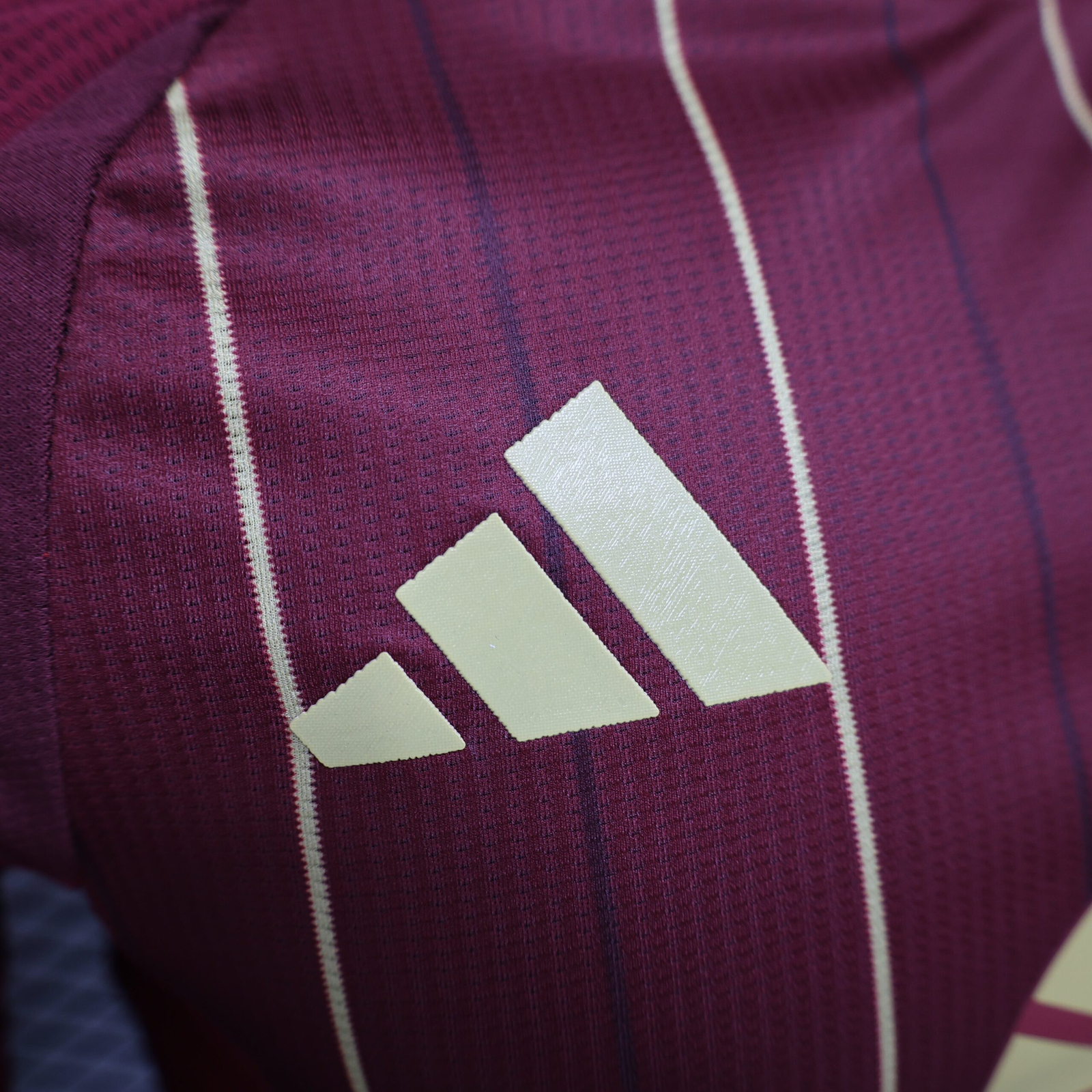 CAMISETA PRIMERA EQUIPACIÓN AS ROMA 24/25 VERSIÓN JUGADOR - Imagen 2