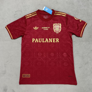 CAMISETA EDICIÓN ESPECIAL BAYERN MUNICH 24/25 VERSIÓN FAN