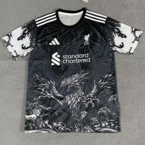 CAMISETA CONCEPTO LIVERPOOL 25/26 VERSIÓN FAN