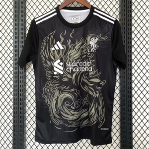 CAMISETA CONCEPTO LIVERPOOL 25/26 VERSIÓN FAN