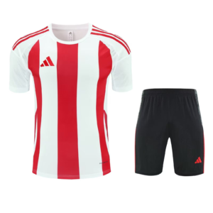 CONJUNTO DE ENTRENAMIENTO ADIDAS 24/25