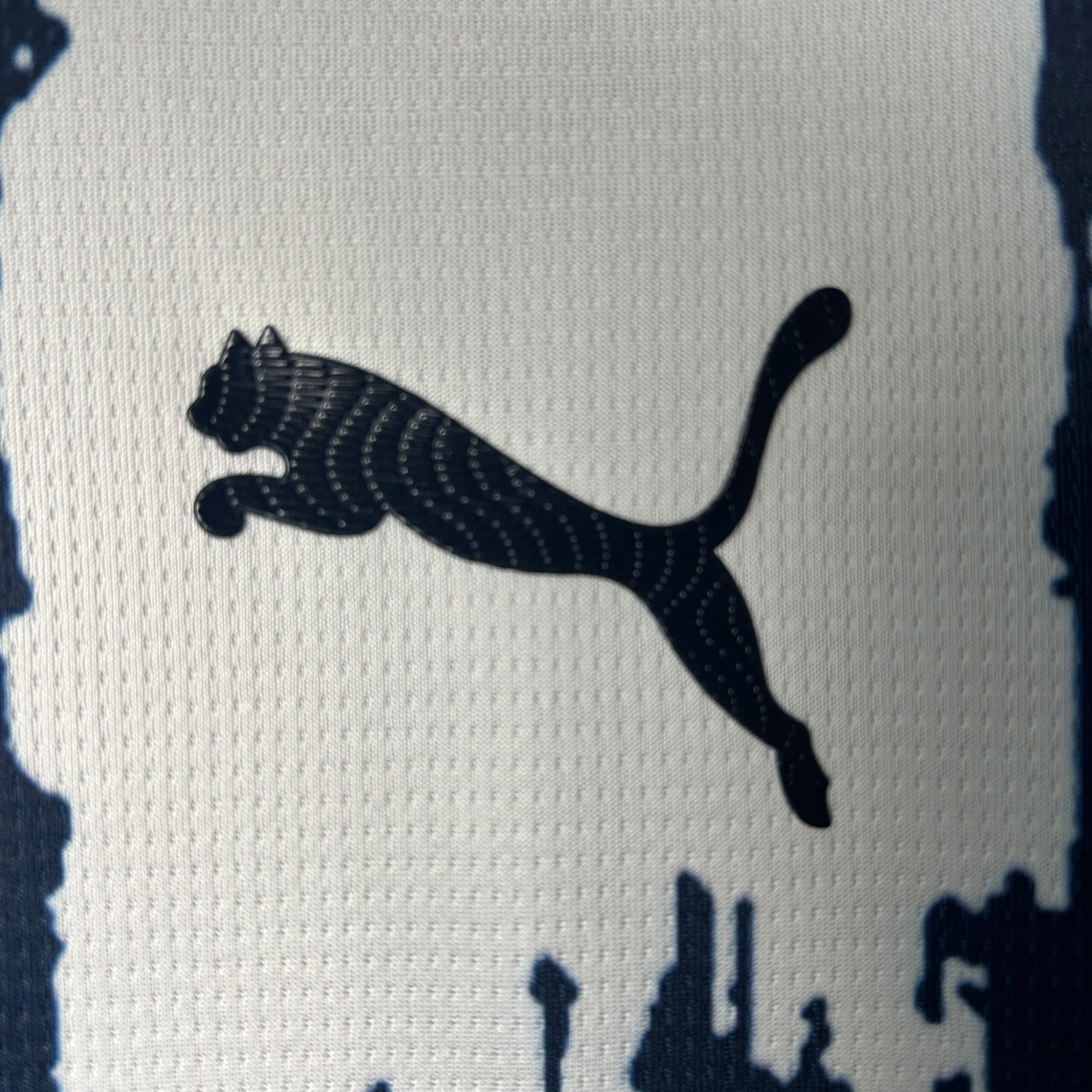 CAMISETA PRIMERA EQUIPACIÓN MONTERREY 2025 VERSIÓN FAN - Imagen 3