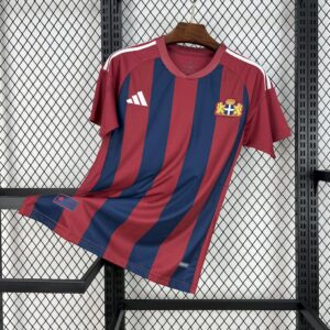 CAMISETA EDICIÓN ESPECIAL PEC ZWOLLE 24/25 VERSIÓN FAN