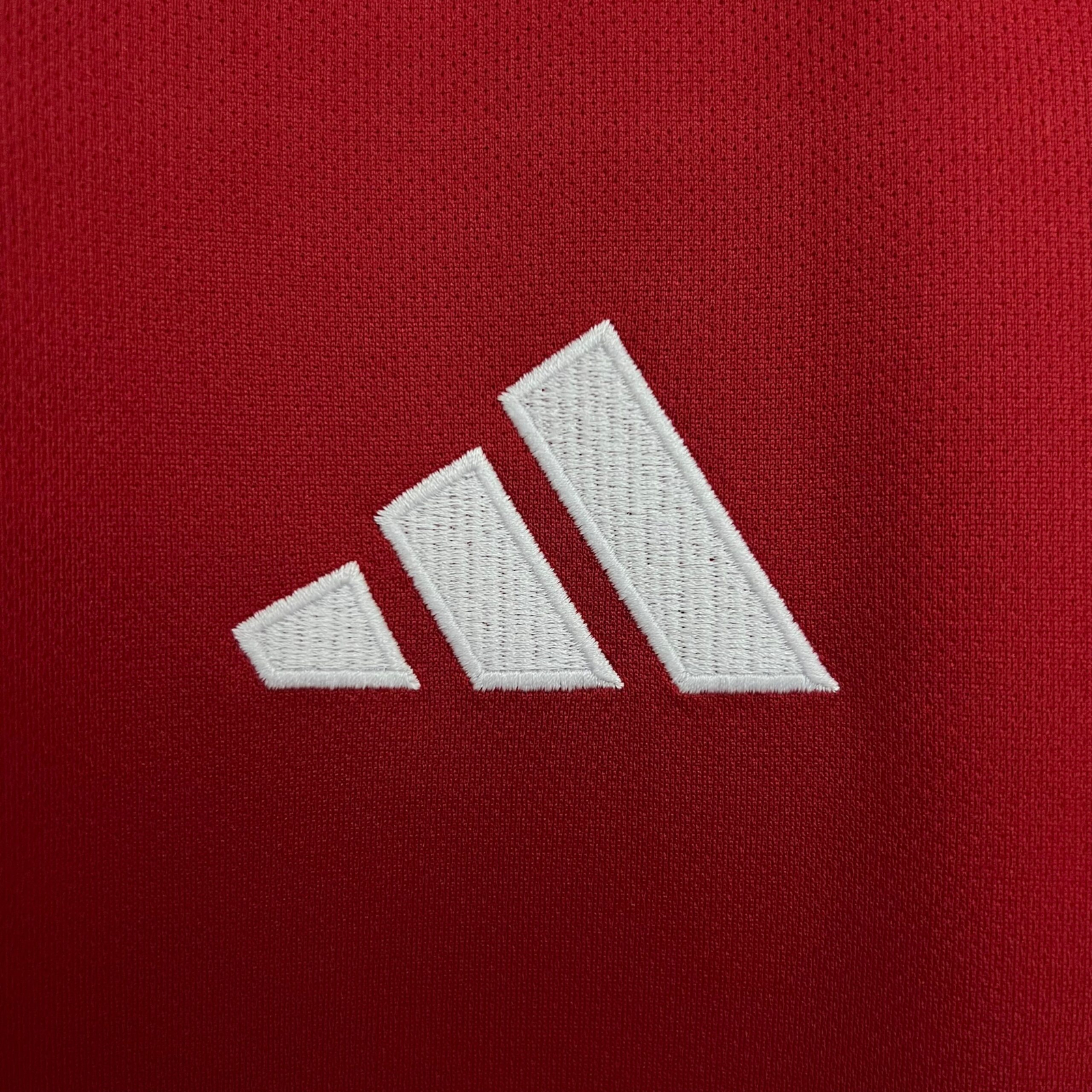 CAMISETA PRIMERA EQUIPACIÓN MANCHESTER UNITED 25/26 VERSIÓN FAN - Imagen 3