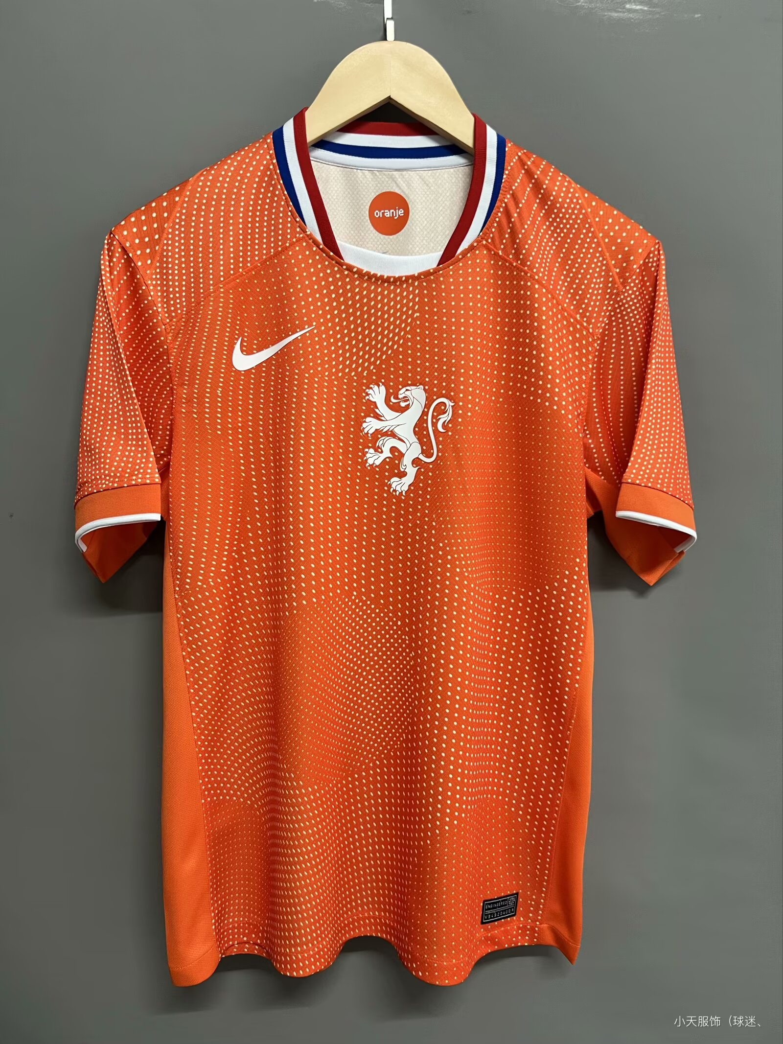 CAMISETA PRIMERA EQUIPACIÓN PÁISES BAJOS F 2025 VERSIÓN FAN