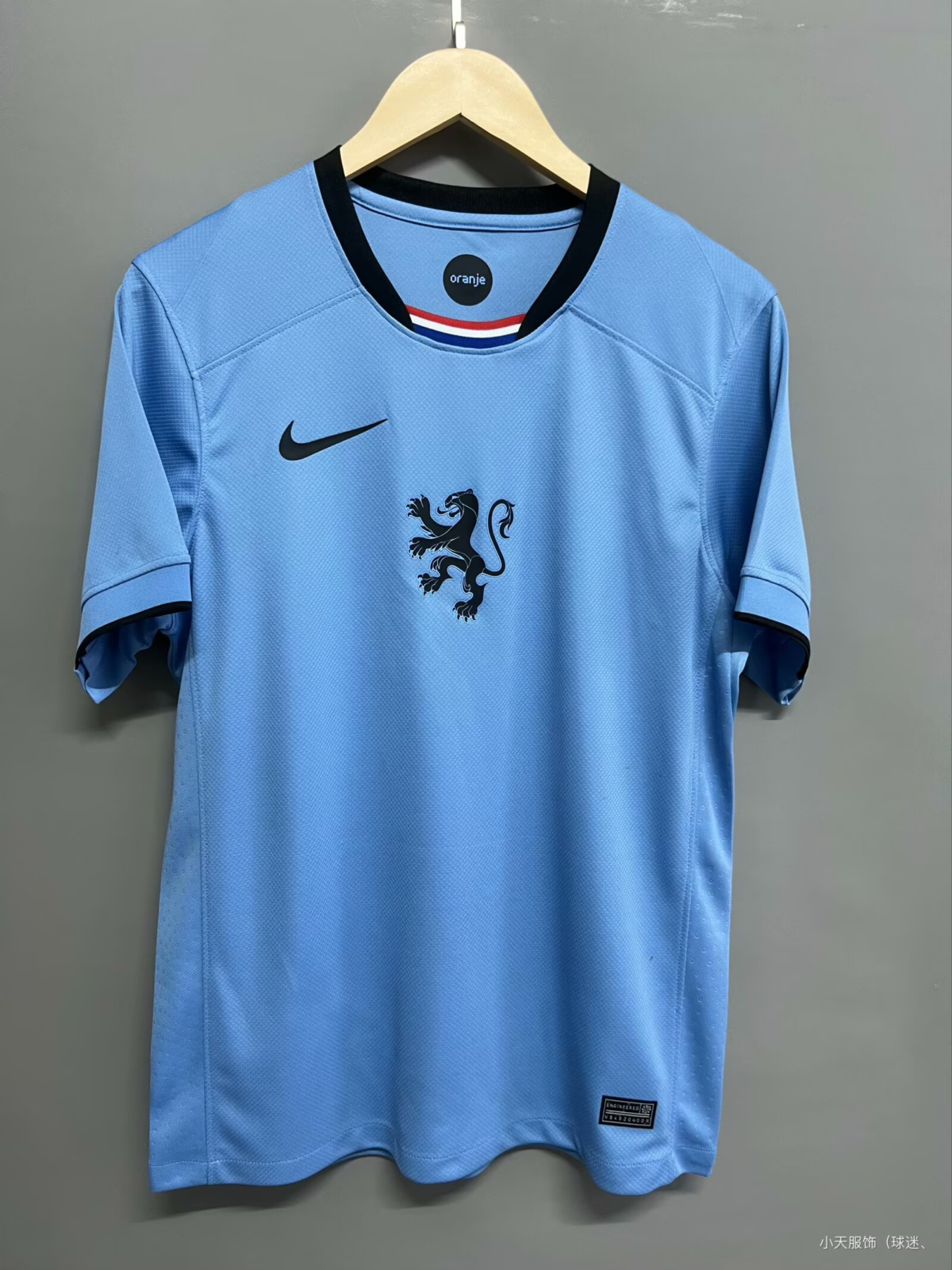 CAMISETA SEGUNDA EQUIPACIÓN PÁISES BAJOS F 2025 VERSIÓN FAN
