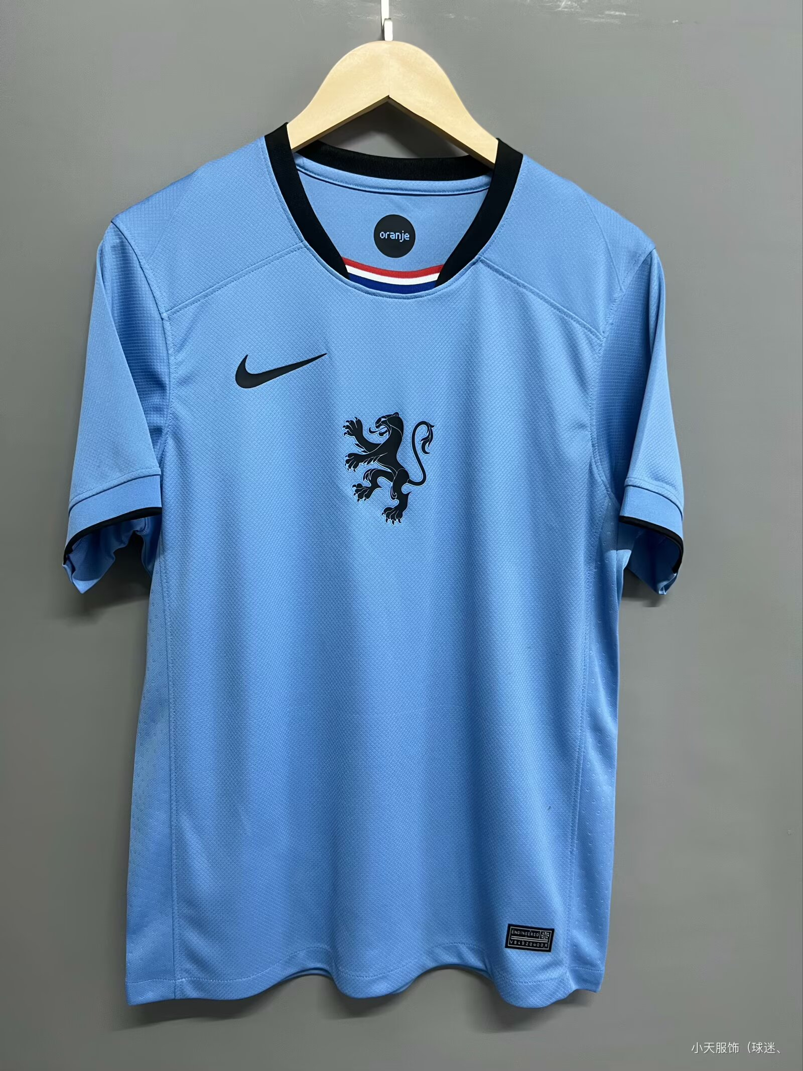 CAMISETA SEGUNDA EQUIPACIÓN PÁISES BAJOS F 2025 VERSIÓN FAN