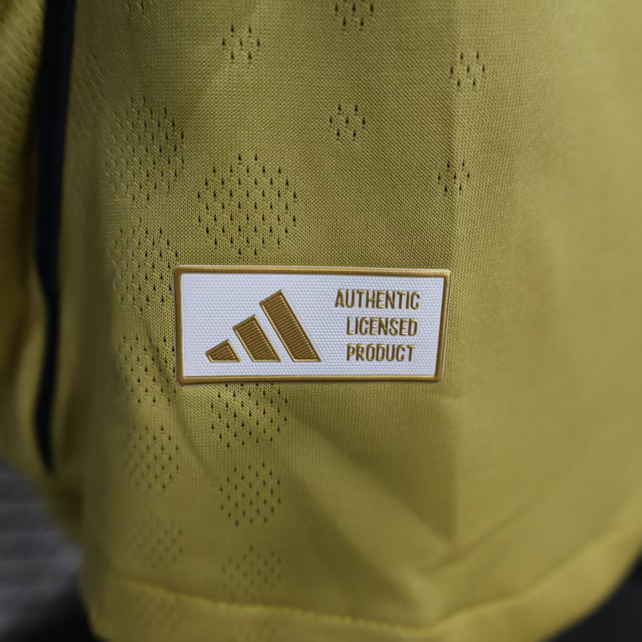 CAMISETA SEGUNDA EQUIPACIÓN BOCA JUNIORS 2025 VERSIÓN JUGADOR - Imagen 8