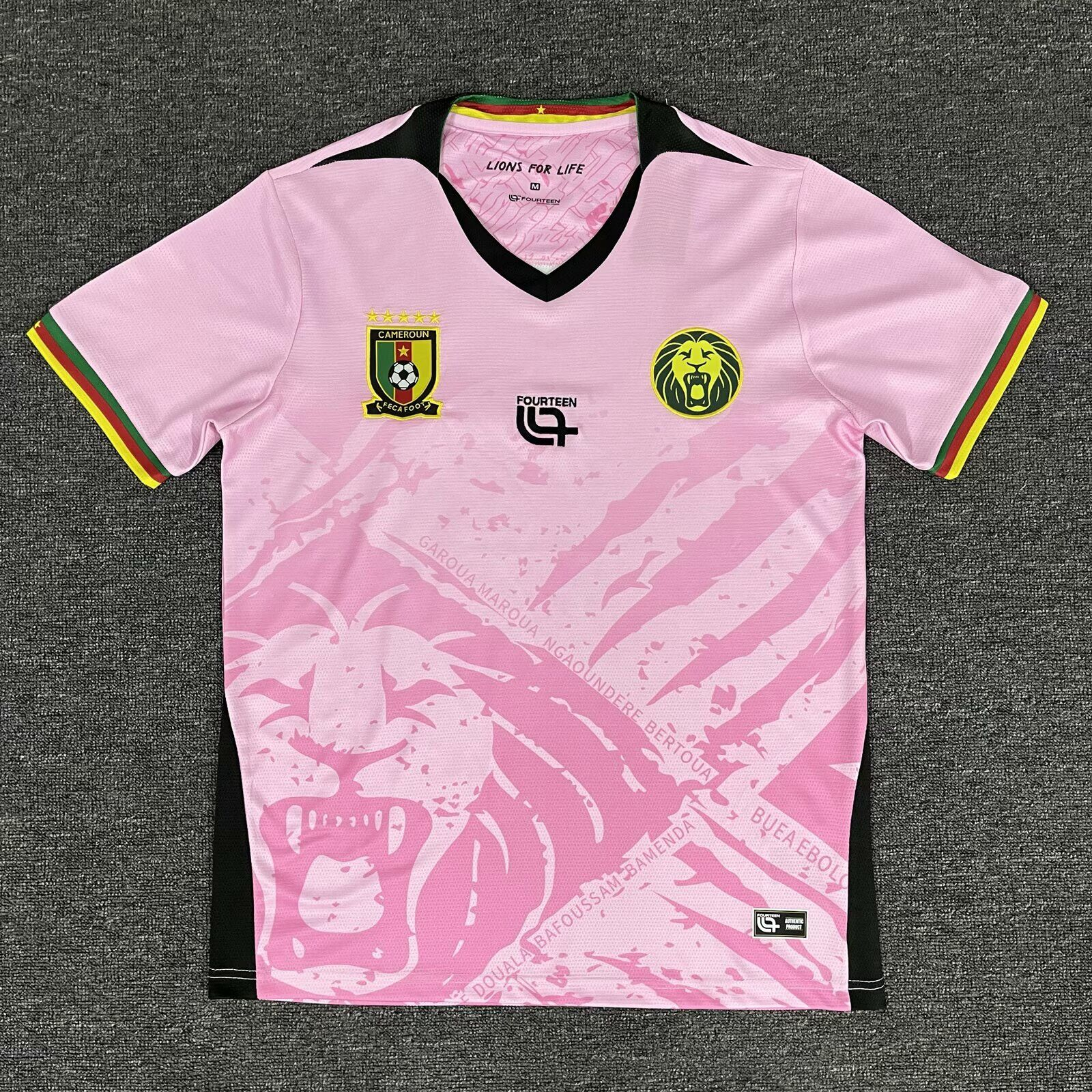 CAMISETA ARQUERO CAMERÚN 2025 VERSIÓN FAN