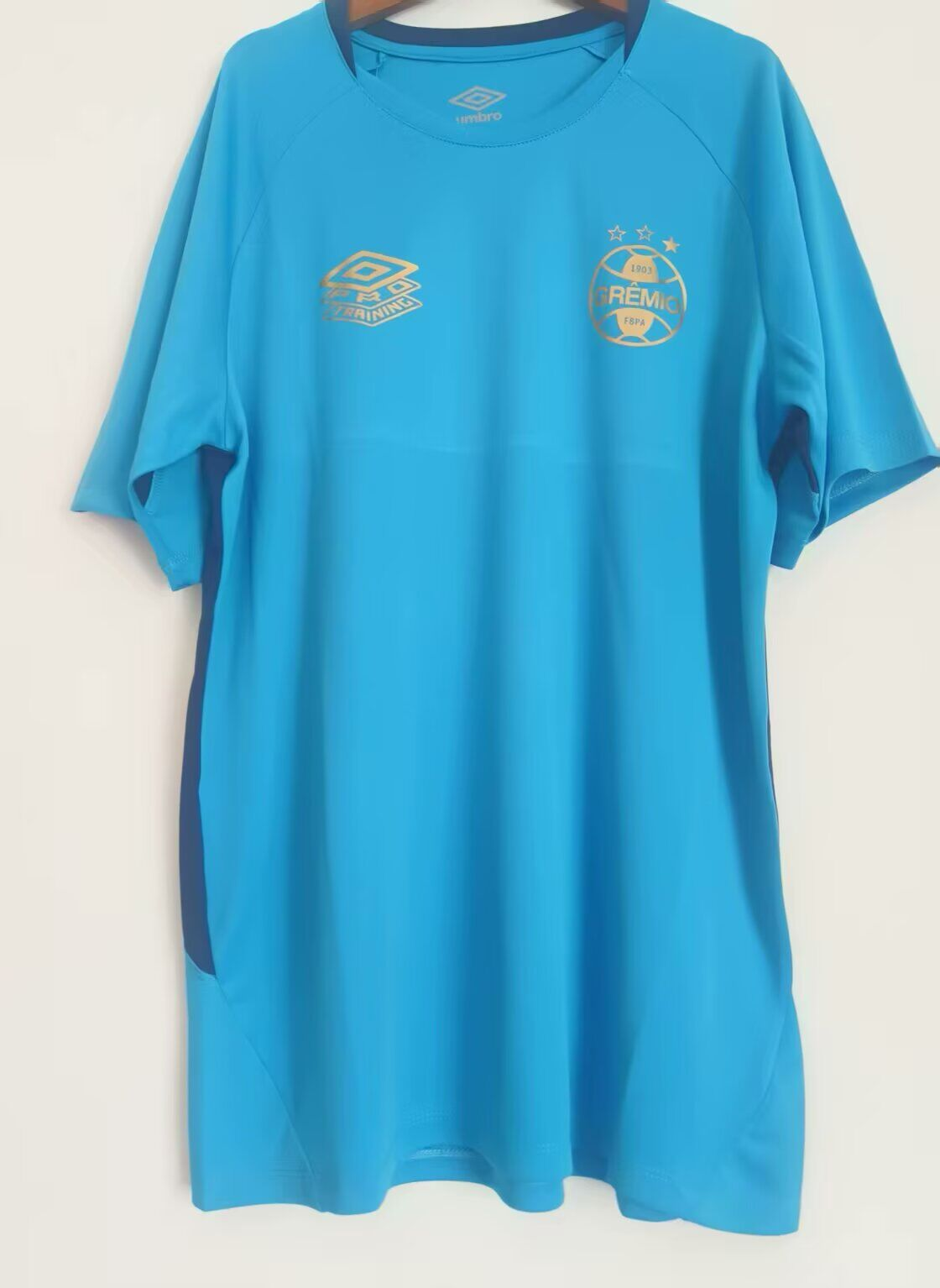 CAMISETA ENTRENAMIENTO GREMIO 2025 VERSIÓN FAN