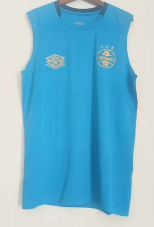 CAMISETA ENTRENAMIENTO GREMIO 2025 VERSIÓN SIN MANGAS