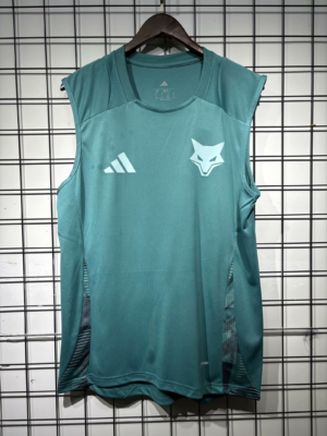 CAMISETA ENTRENAMIENTO CRUZEIRO 2025 VERSIÓN SIN MANGAS