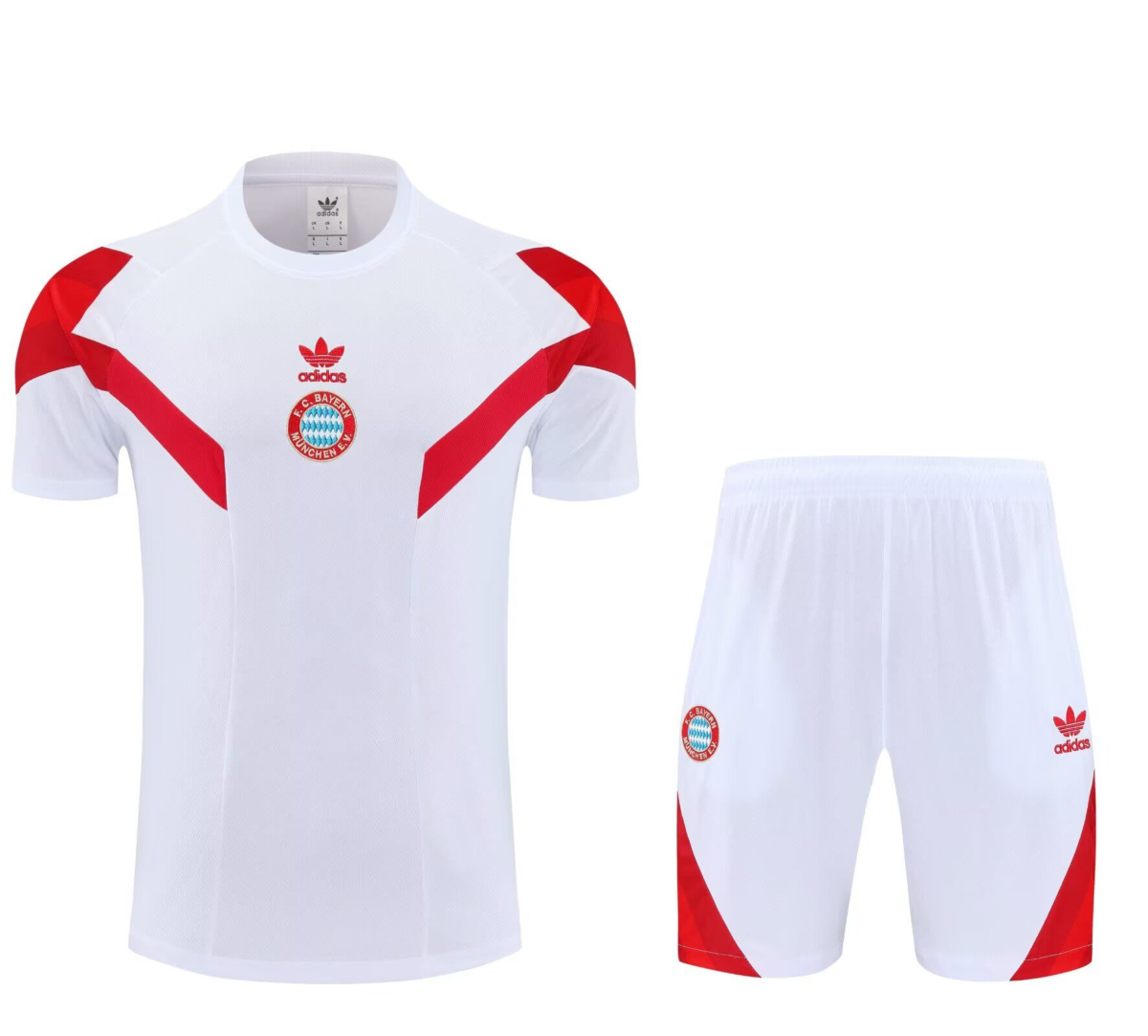 CONJUNTO DE ENTRENAMIENTO BAYERN MUNICH 24/25