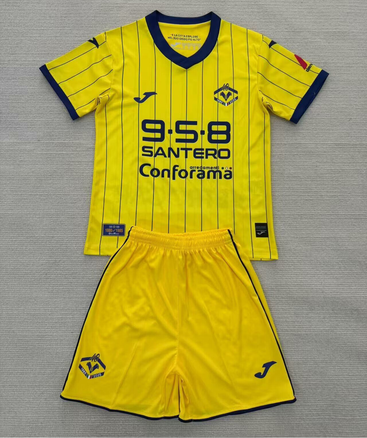 CAMISETA CUARTA EQUIPACIÓN HELLAS VERONA 24/25 VERSIÓN INFANTIL