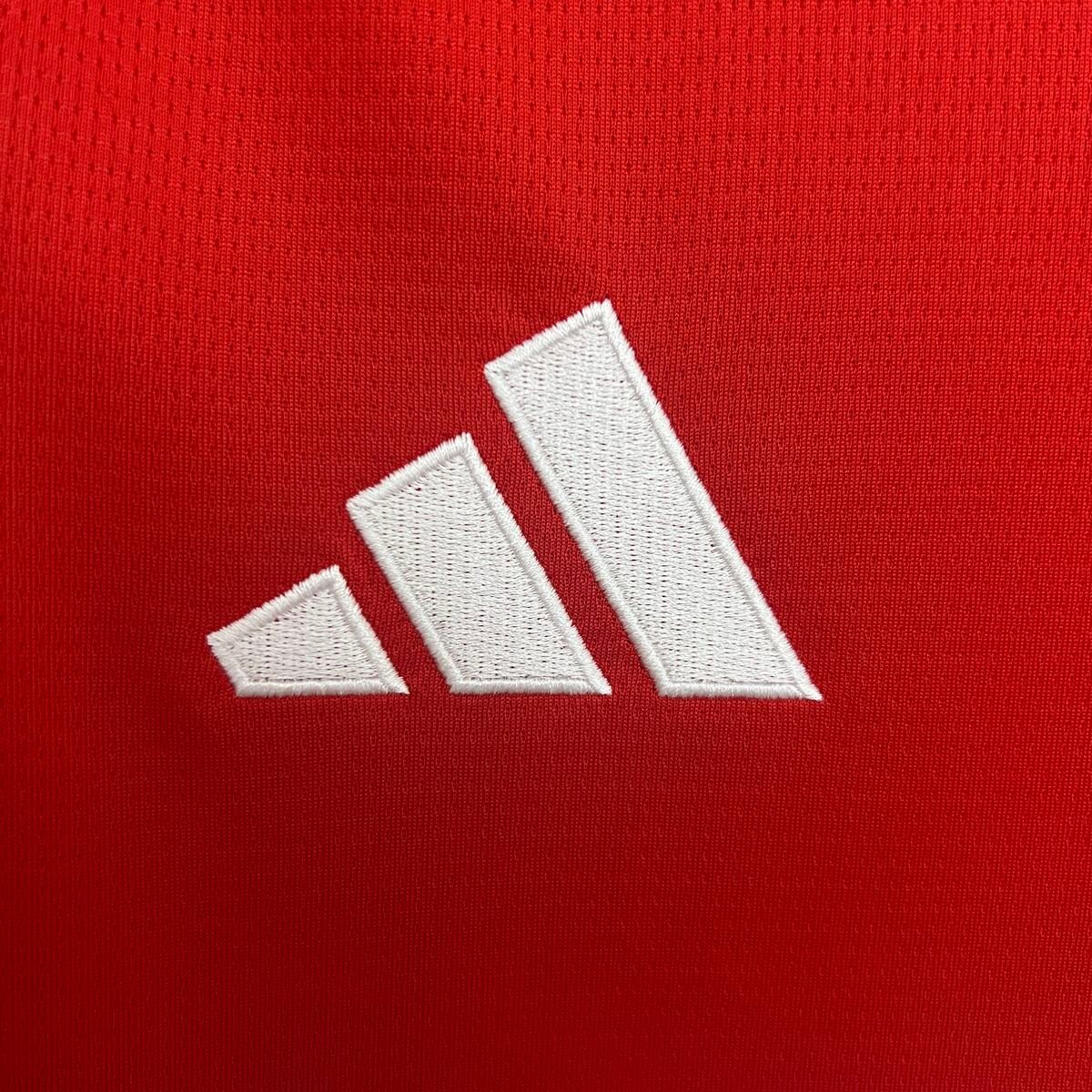 CAMISETA PRIMERA EQUIPACIÓN BENFICA 25/26 VERSIÓN FAN - Imagen 3