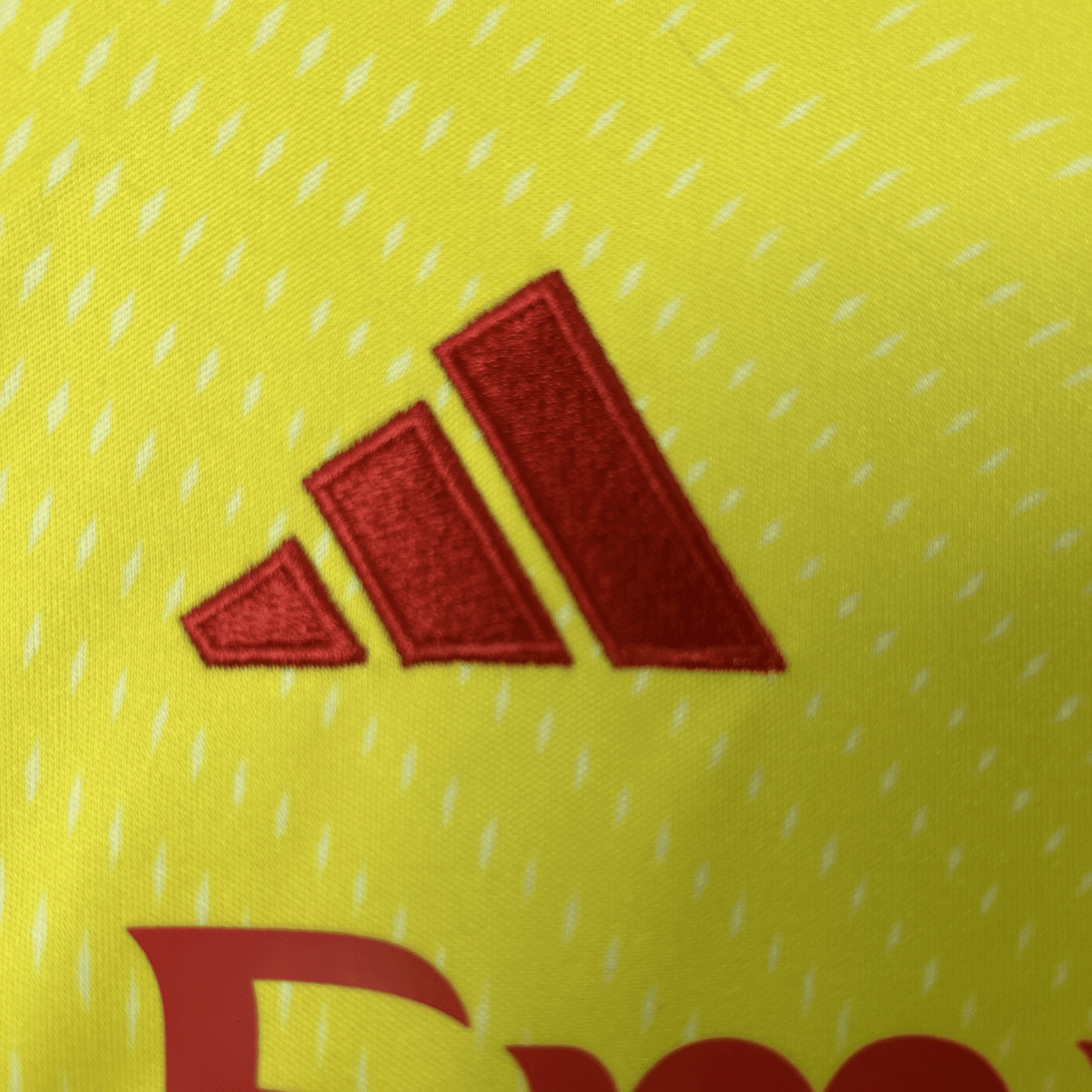 CAMISETA ARQUERO BENFICA 25/26 VERSIÓN INFANTIL - Imagen 3