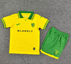 CAMISETA PRIMERA EQUIPACIÓN NORWICH CITY 25/26 VERSIÓN INFANTIL