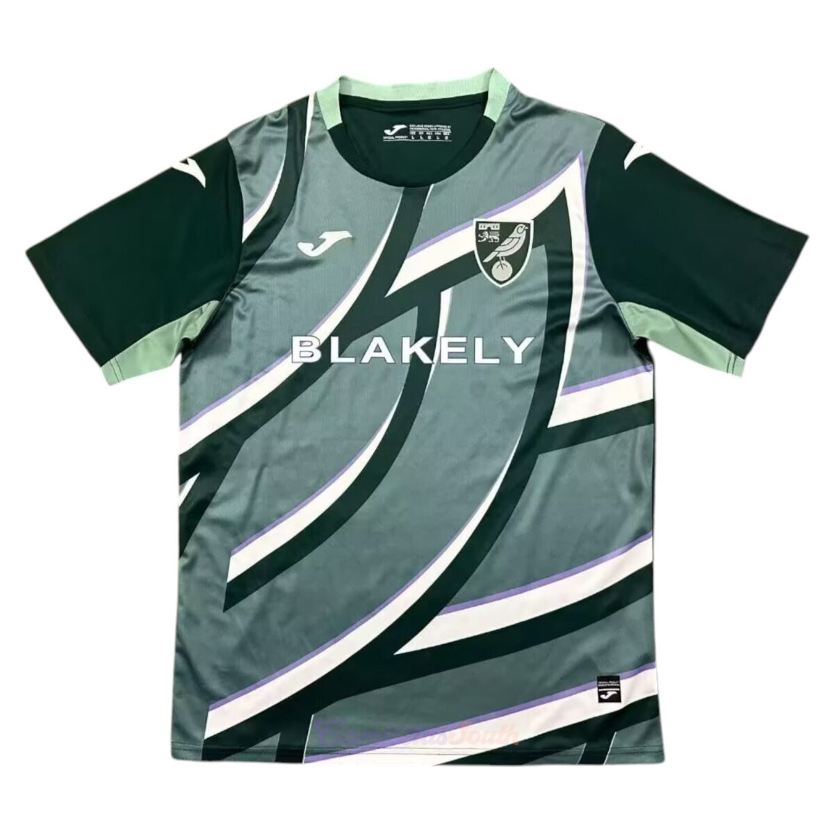 CAMISETA SEGUNDA EQUIPACIÓN NORWICH CITY 25/26 VERSIÓN FAN